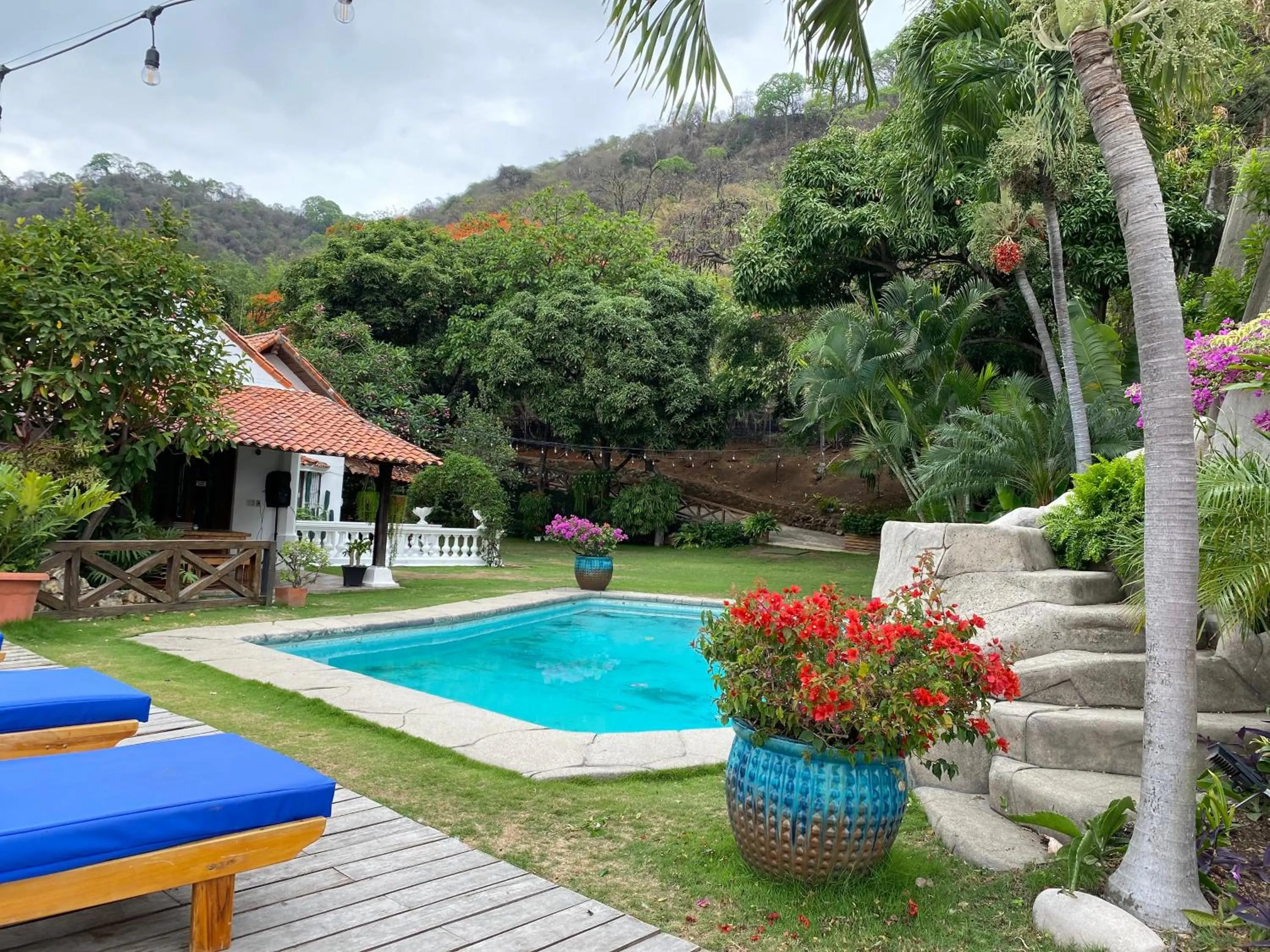 Swimming pool in Iguanazu Bed & Breakfast
