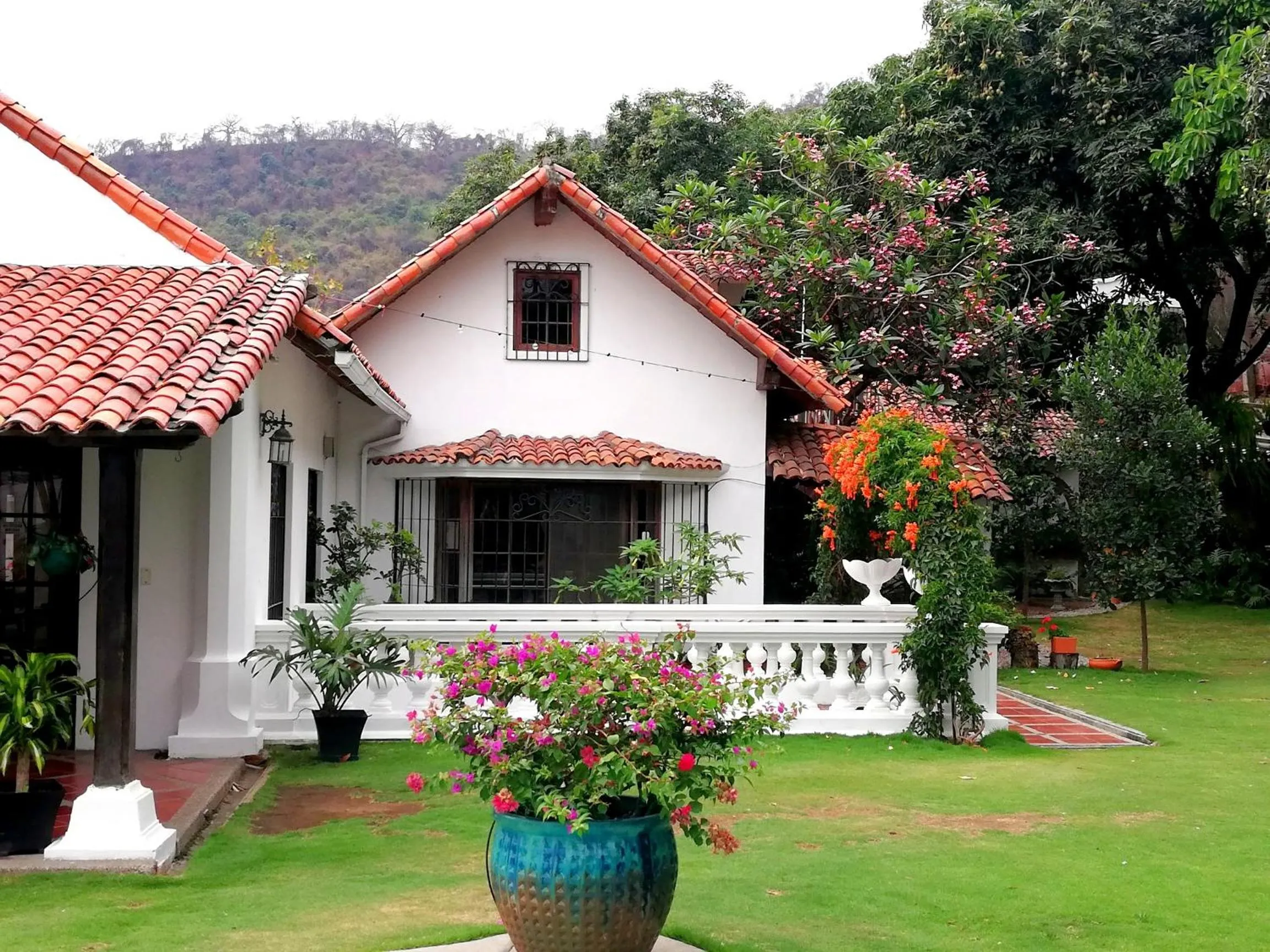 Property building in Iguanazu Bed & Breakfast