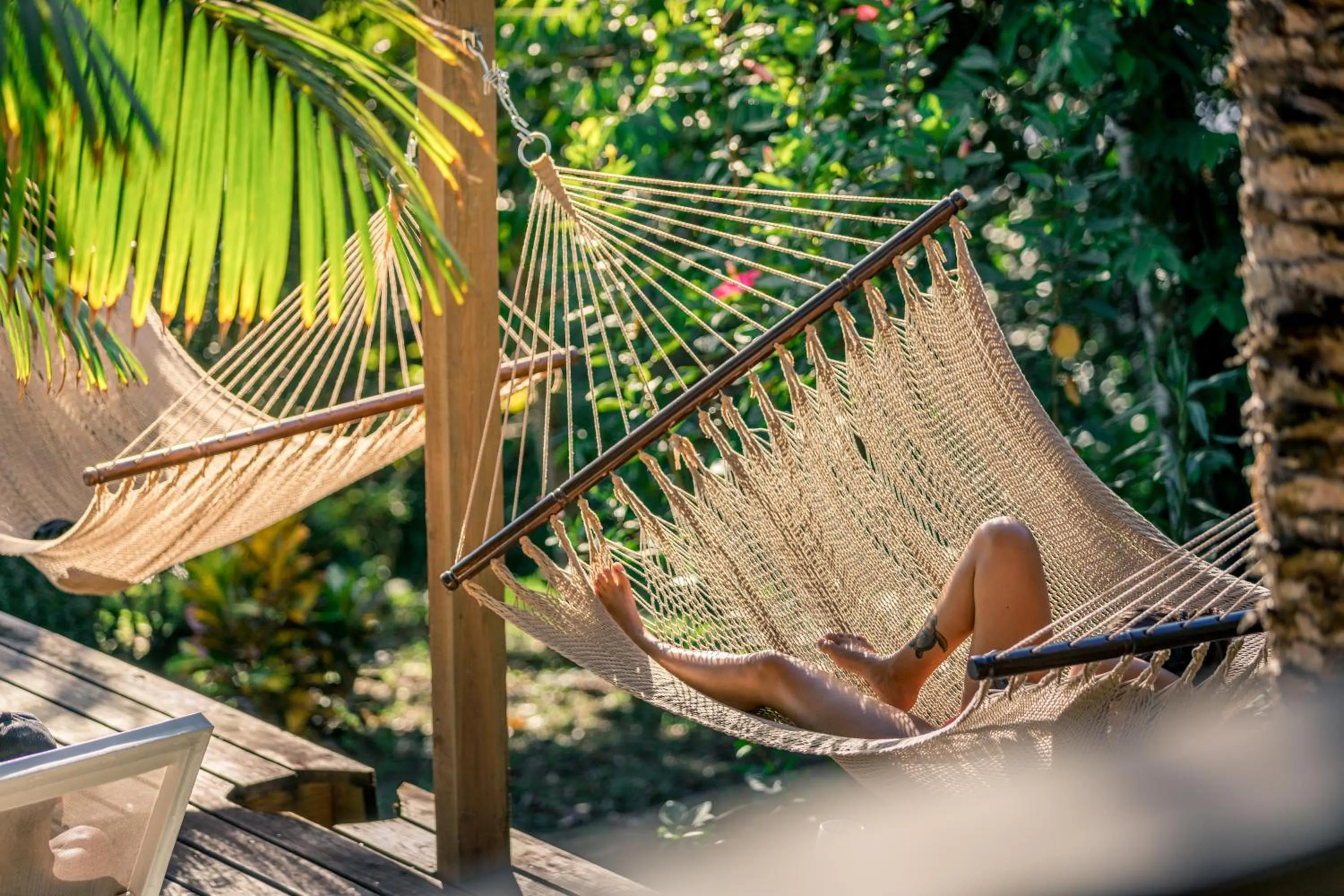 Garden in Bambuda Lodge