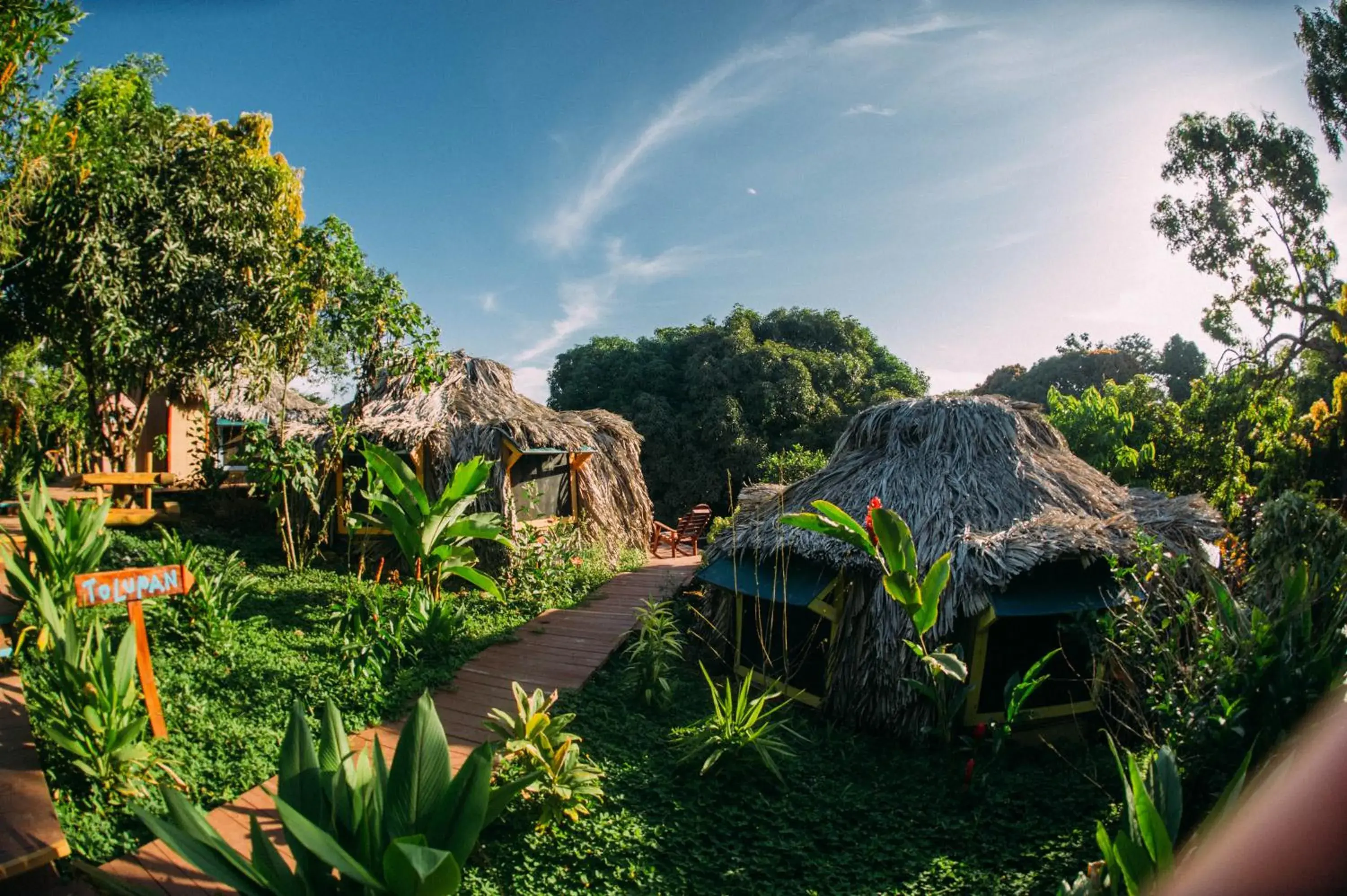Jungle Bungalow in Bambuda Lodge Jungle Bungalow in Bambuda Lodge