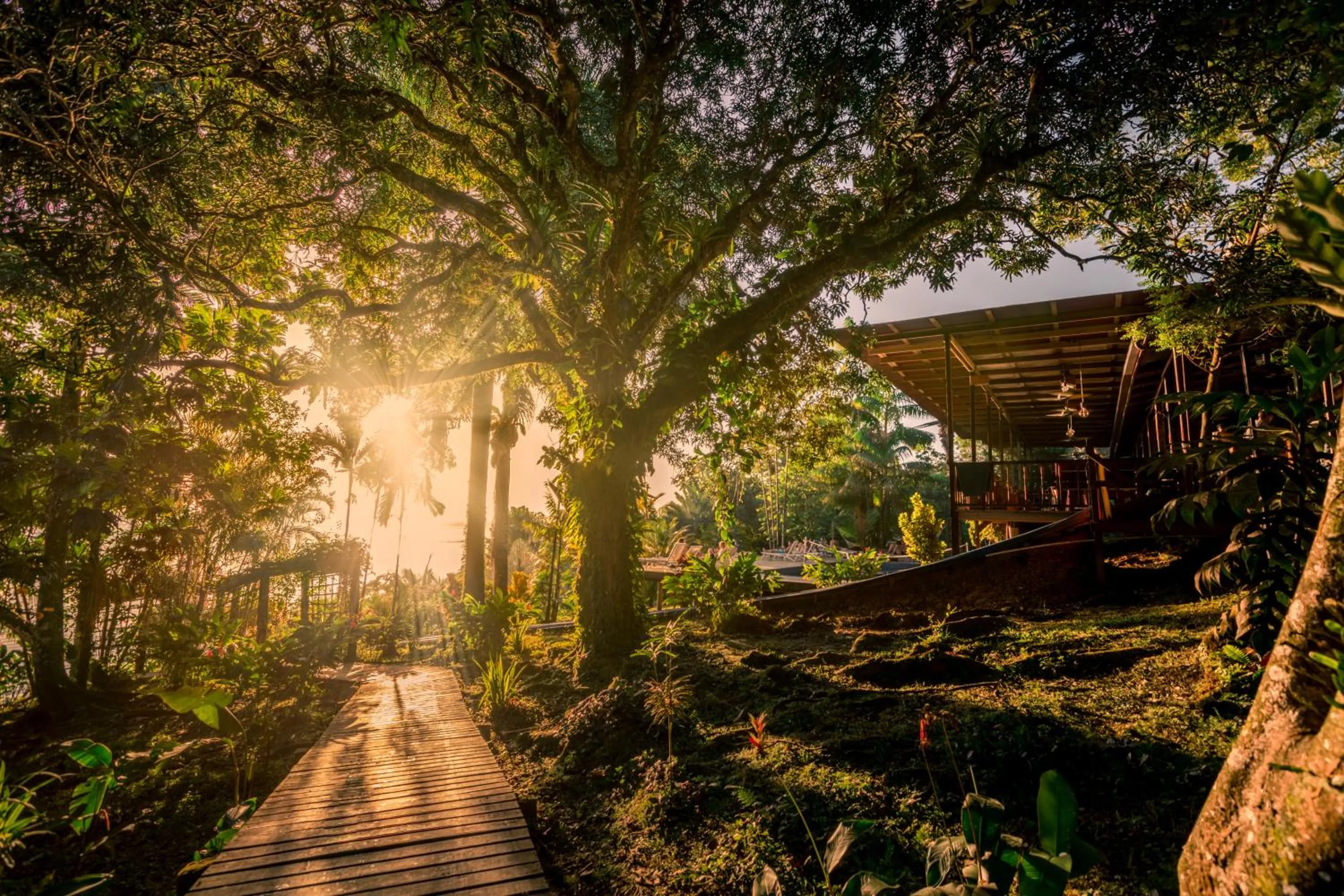 Natural landscape in Bambuda Lodge