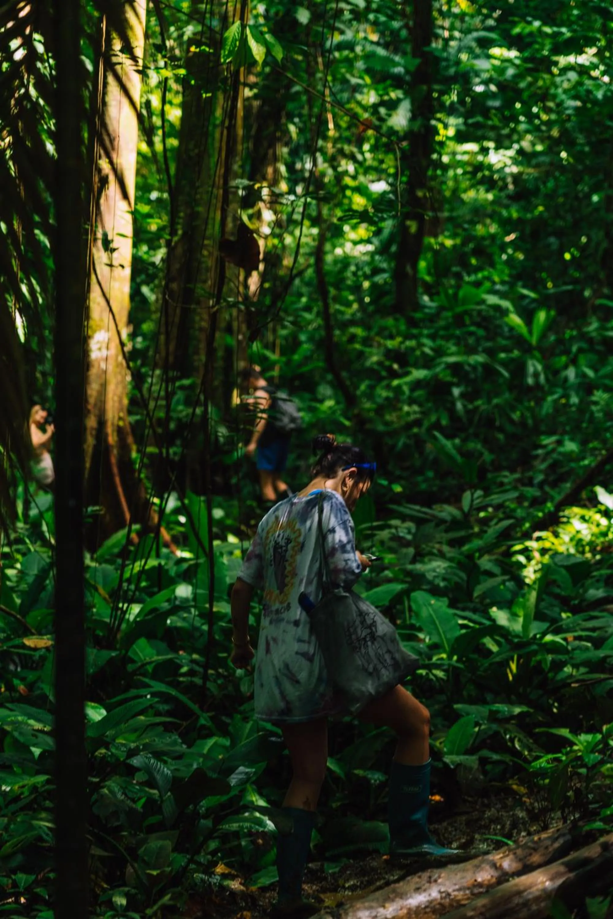Natural landscape in Bambuda Lodge