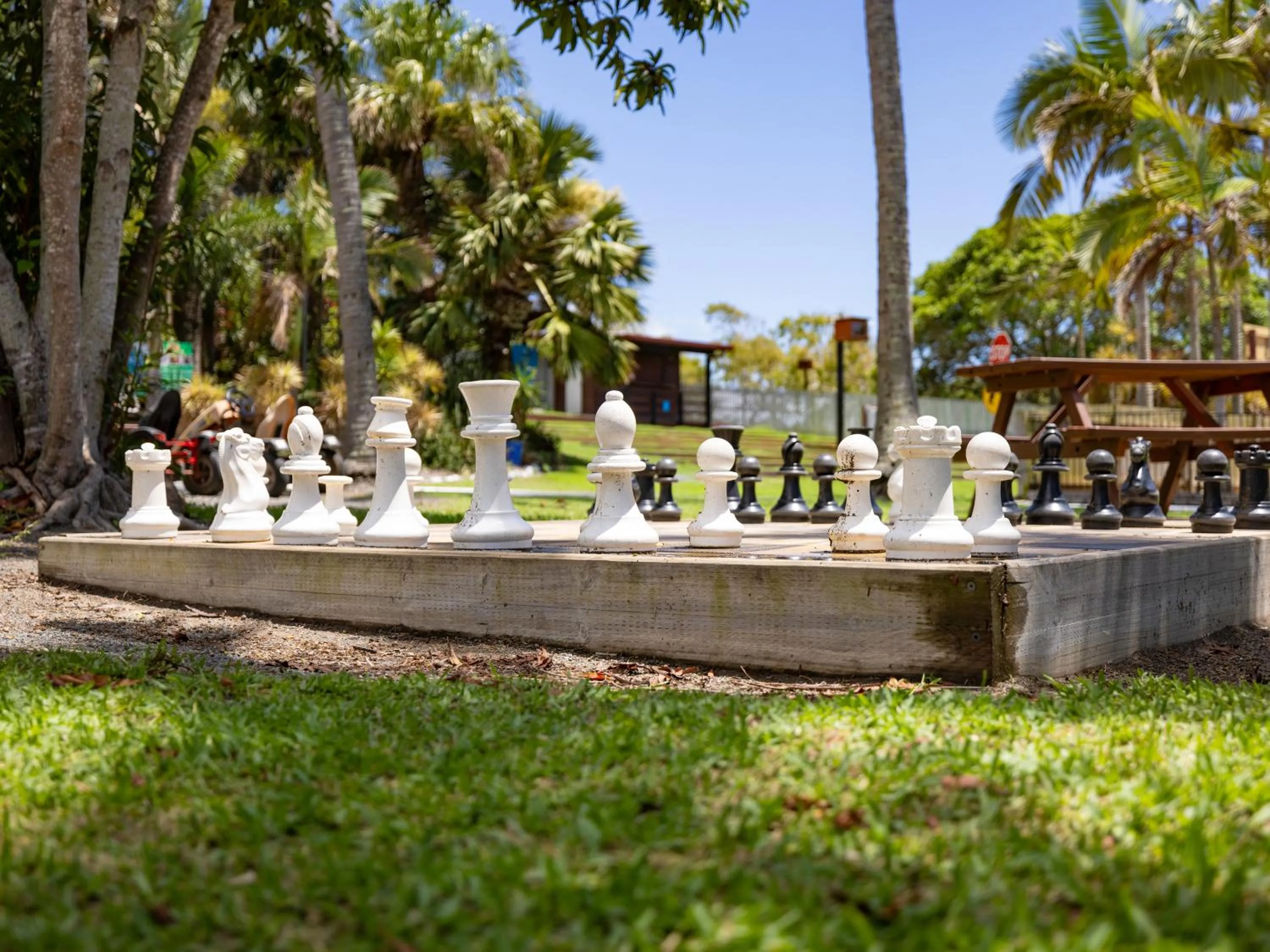 Activities in NRMA Capricorn Yeppoon Holiday Park