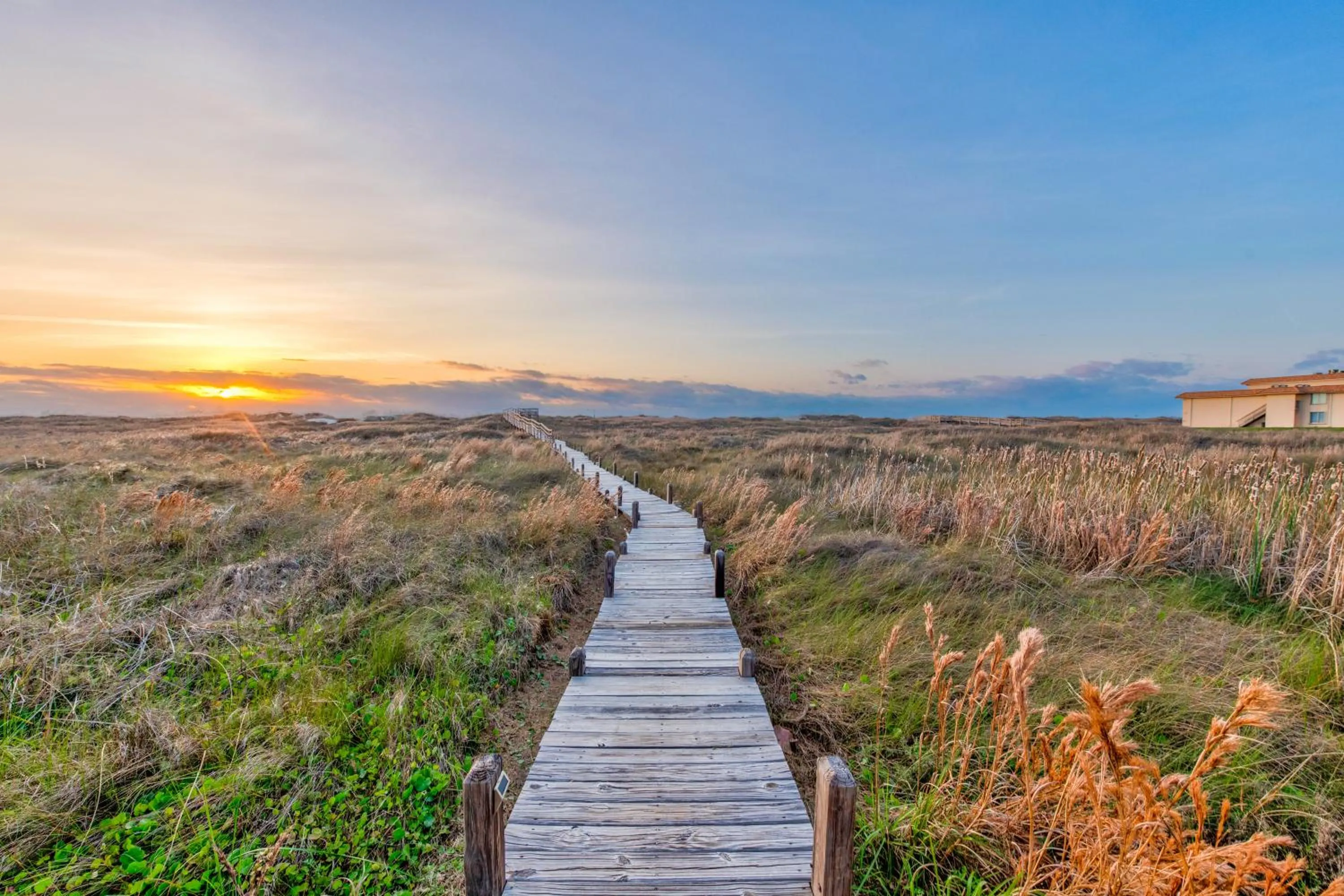 Other in Chasing Waves BH201