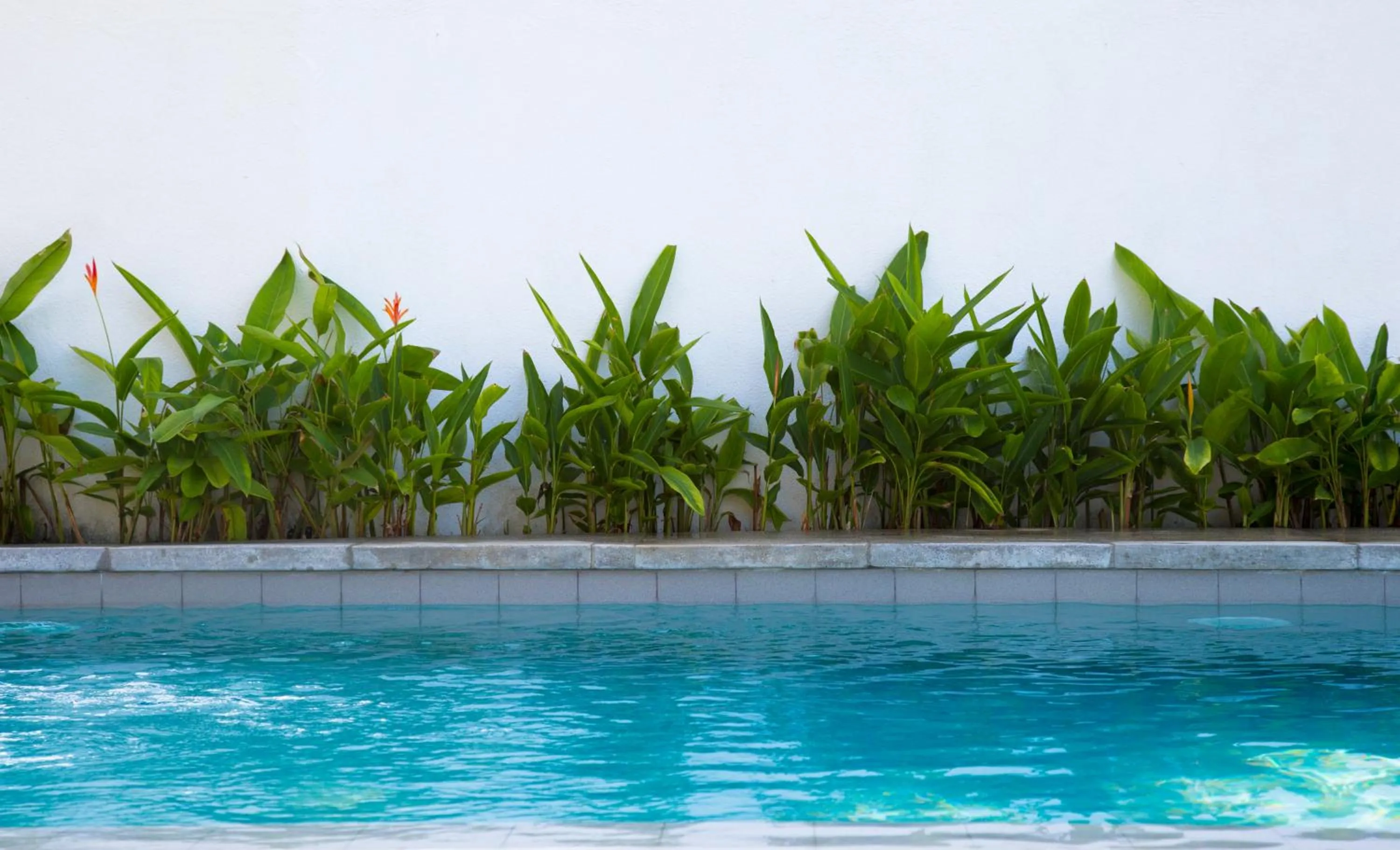 Swimming pool in Arabella on Boossa