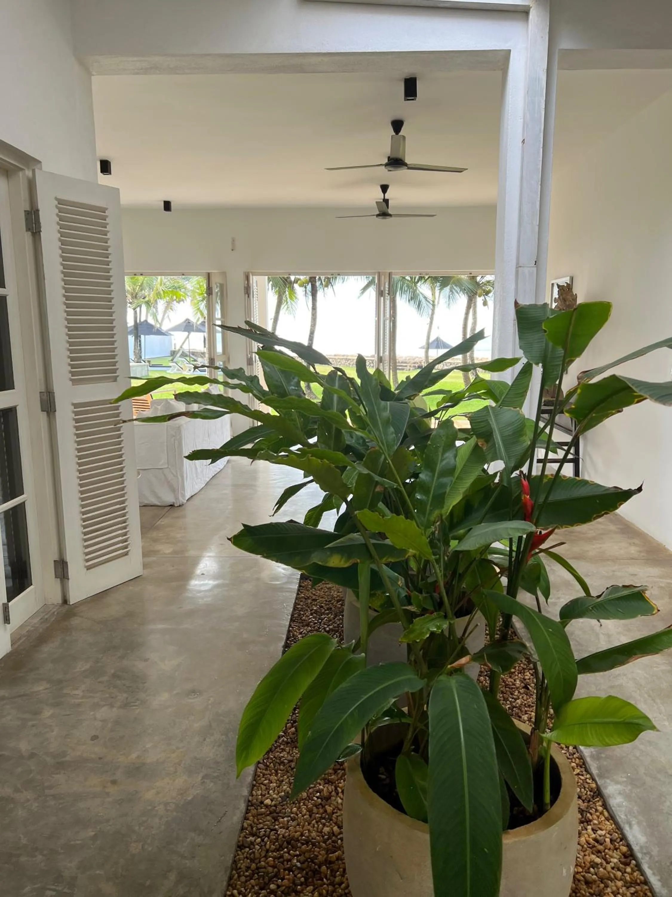 Garden in Arabella on Boossa