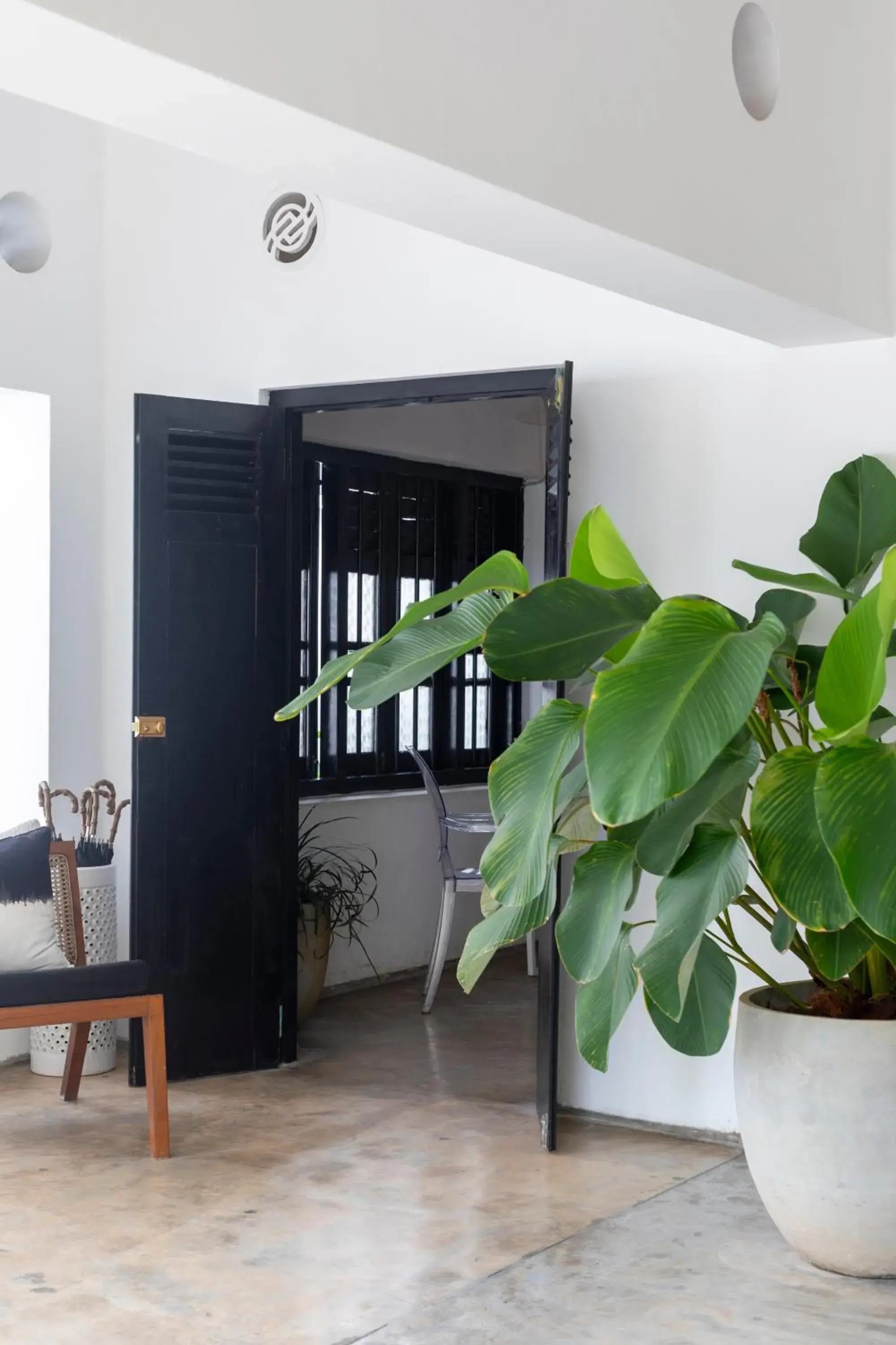 Lobby or reception in Arabella on Boossa Lobby or reception in Arabella on Boossa