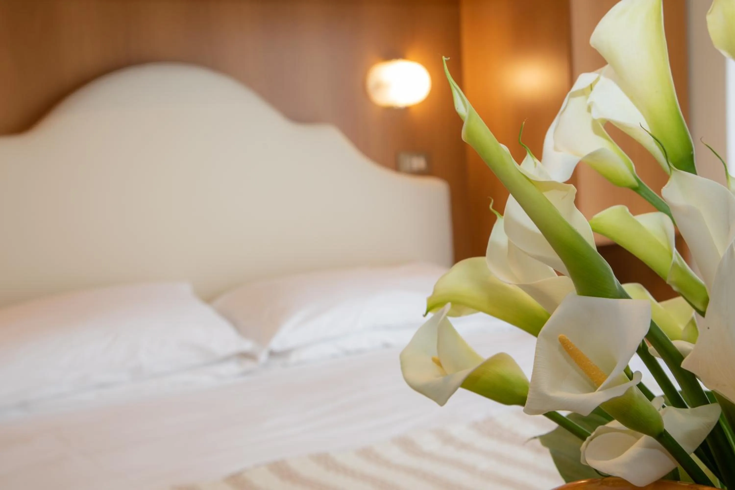 Bed in Acapulco Beach