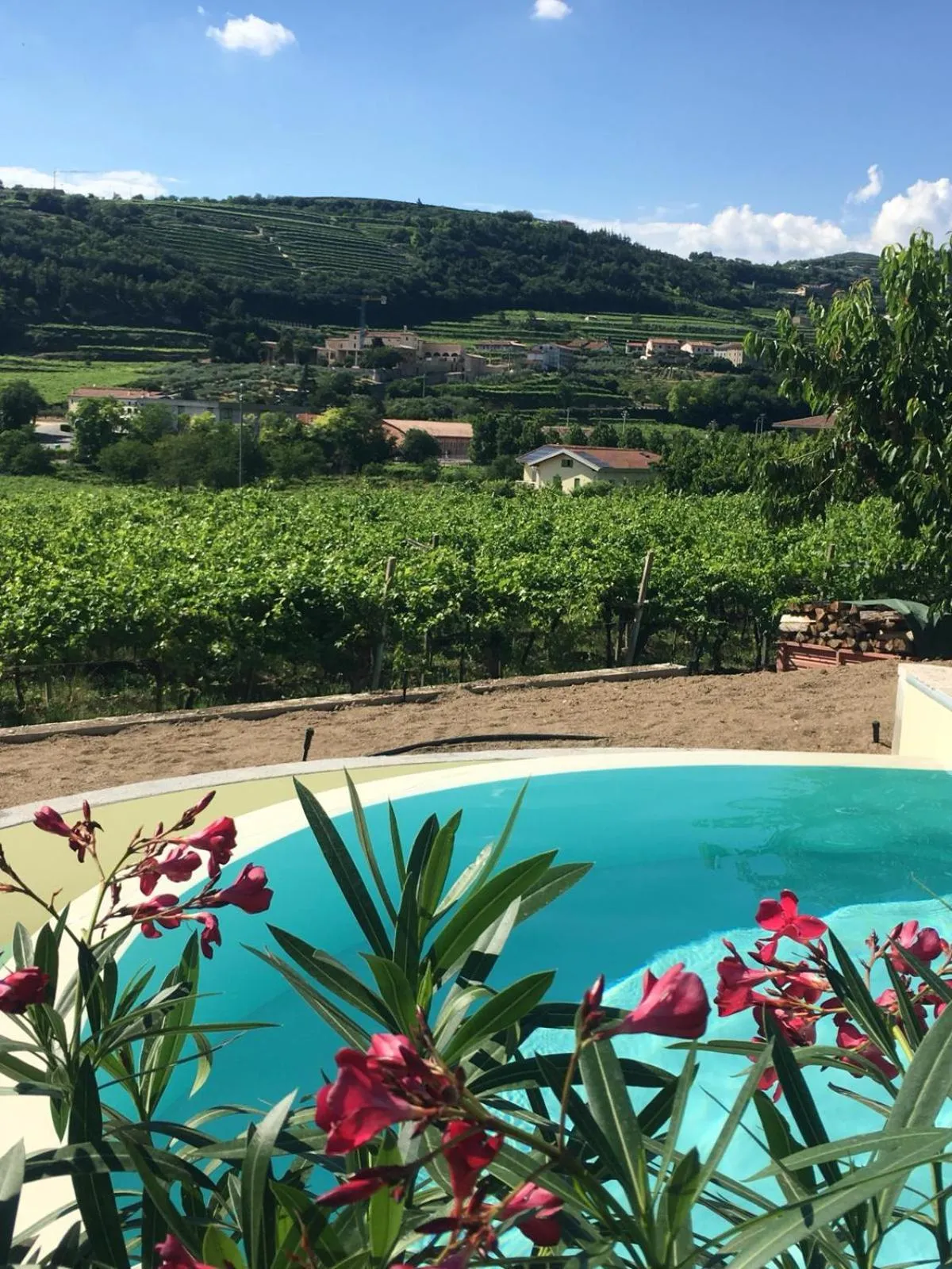 Pool view in B&B Agorà