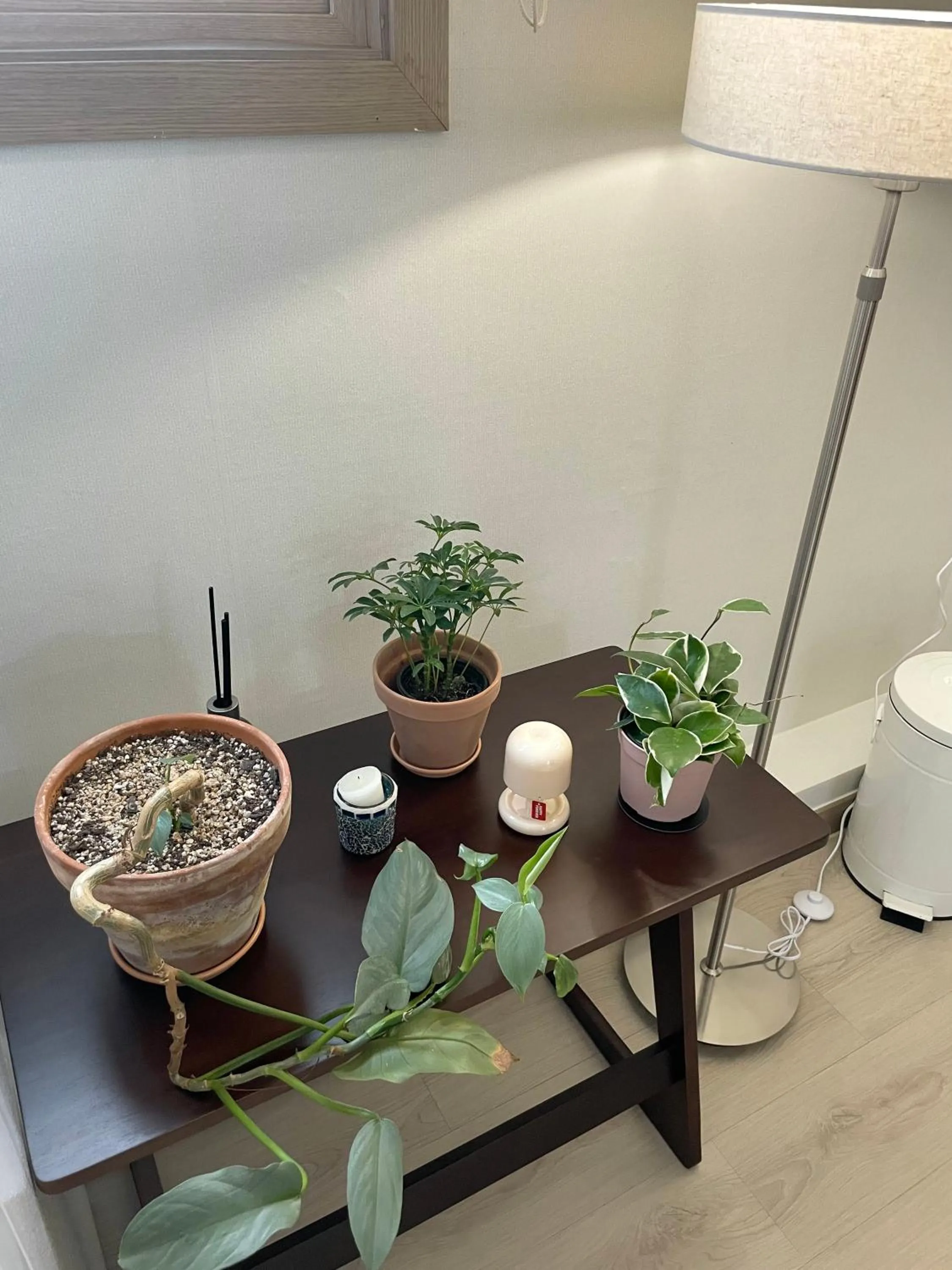 Communal kitchen in Danaharu Guesthouse