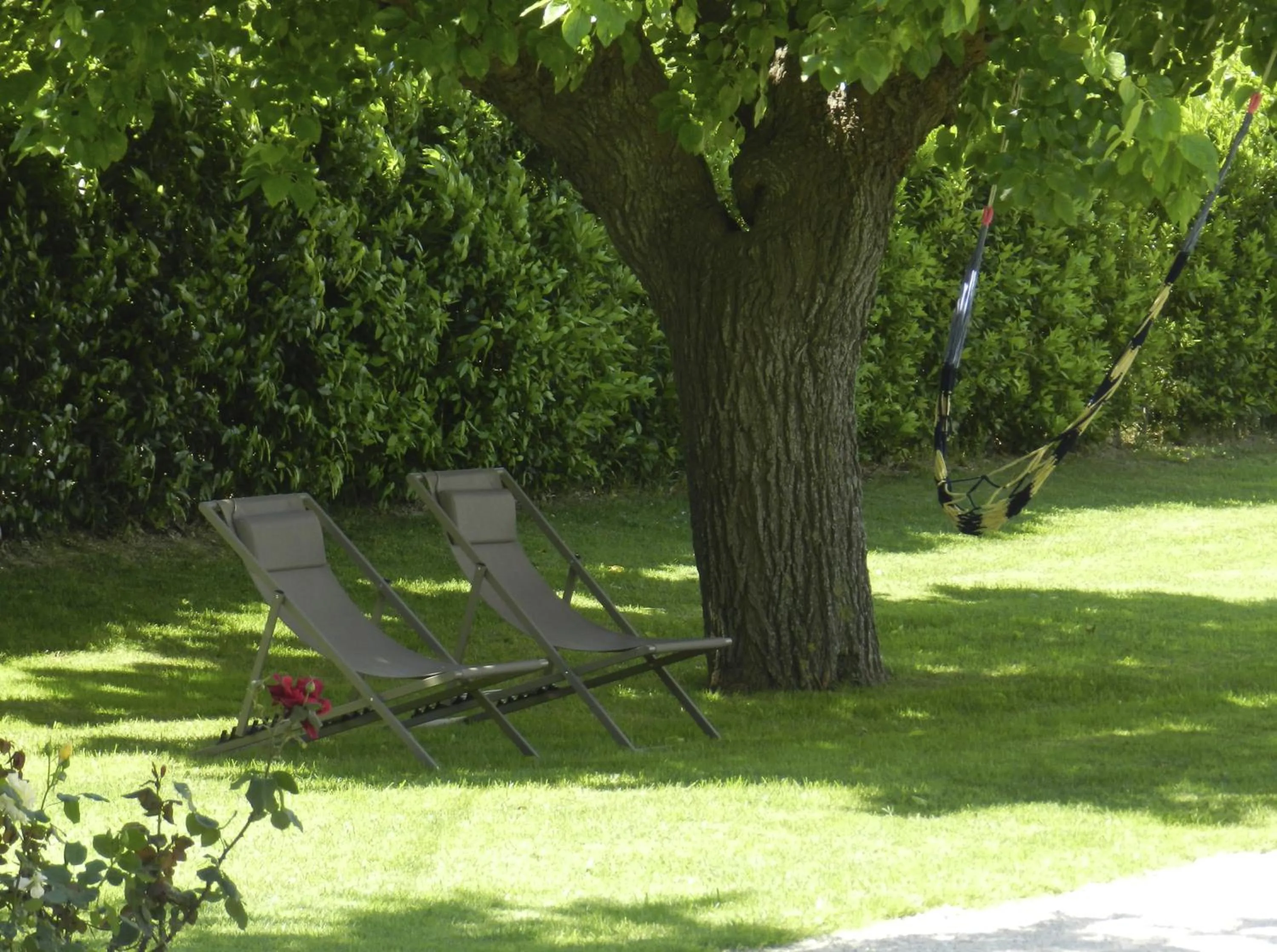 Garden in B&B Campodisole