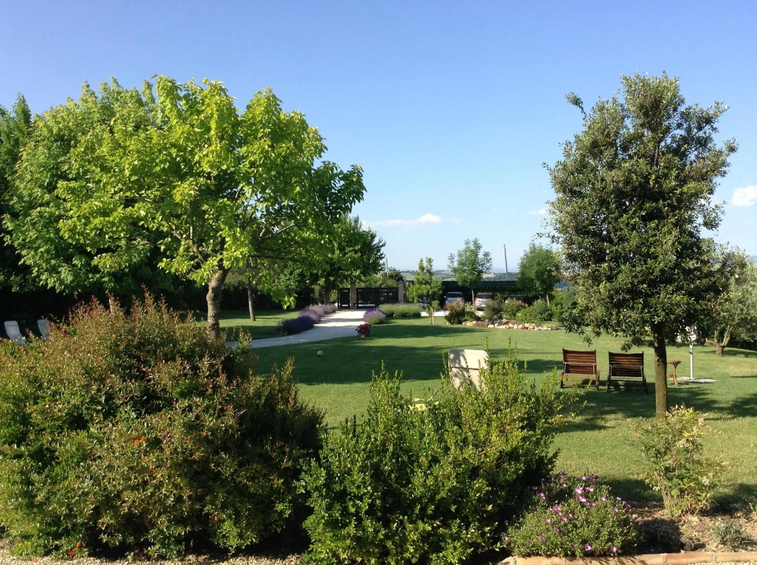 Garden in B&B Campodisole