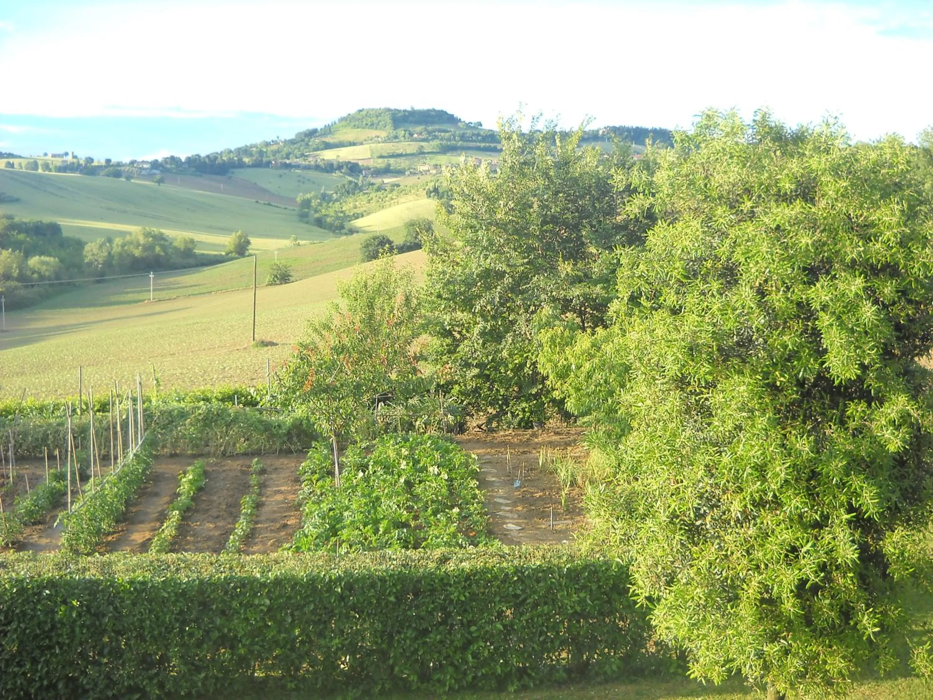 Garden in B&B Campodisole