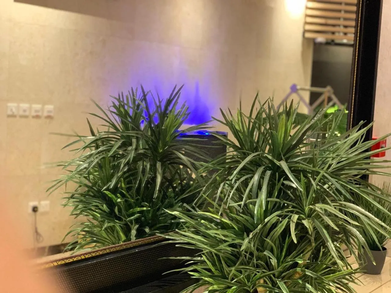 ساس رتل للوحدات السكنية المفروشة