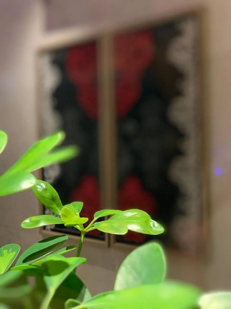 ساس رتل للوحدات السكنية المفروشة