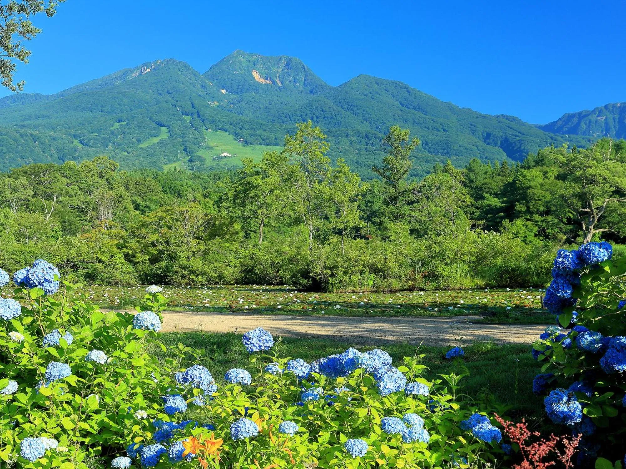 Natural landscape in Ryokan Okayama