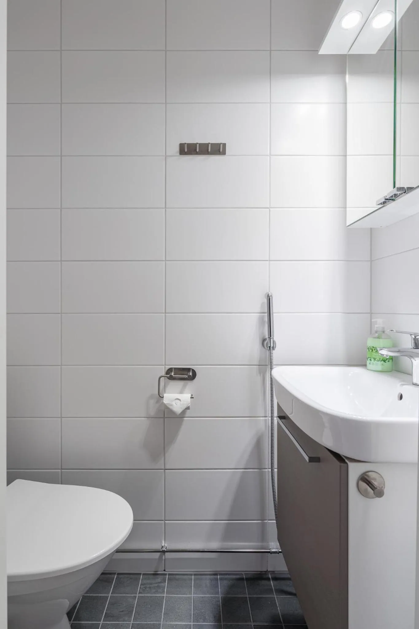 Toilet in Historical 3BR Downtown Apartment with Sauna