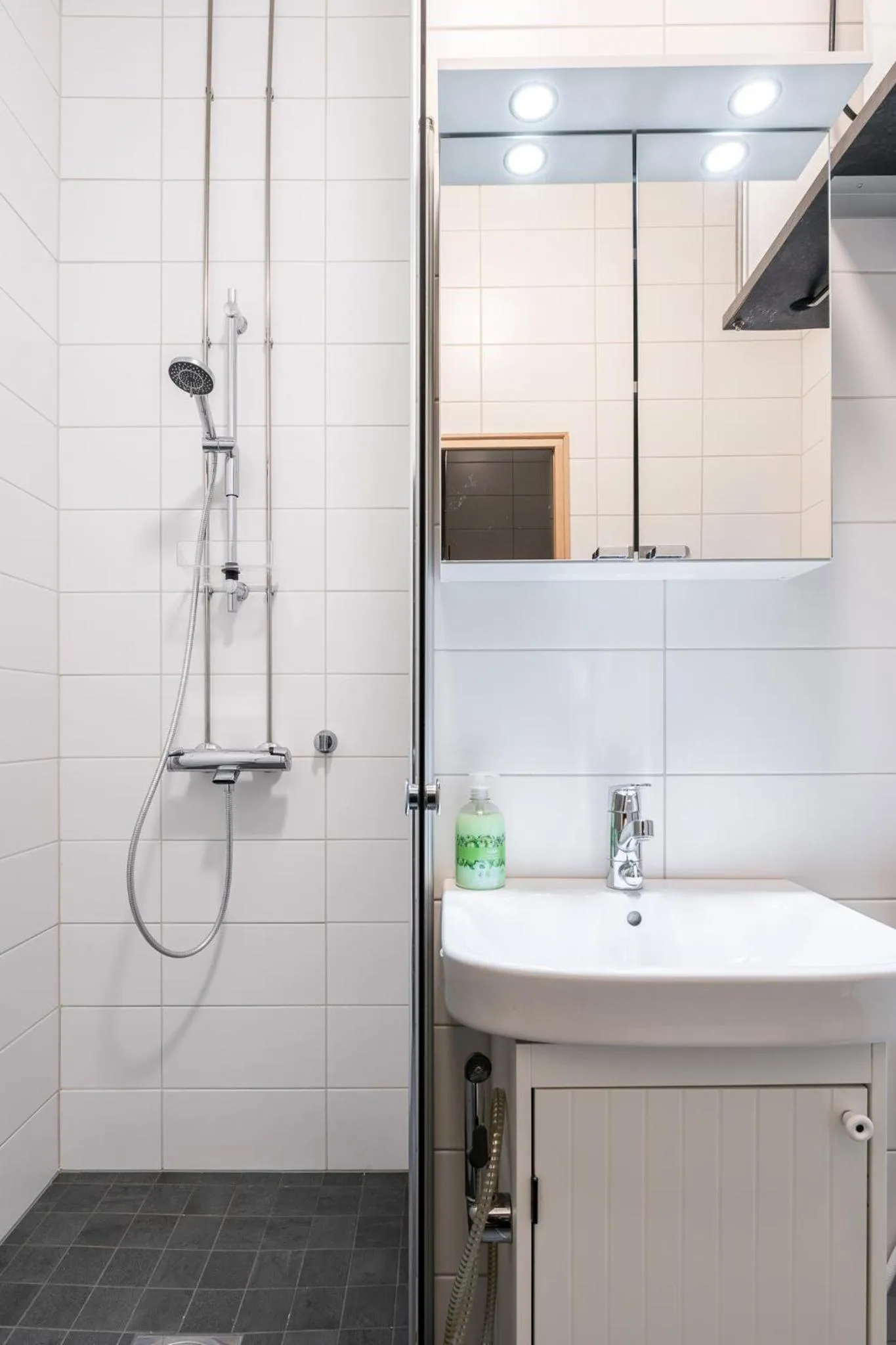Shower in Historical 3BR Downtown Apartment with Sauna