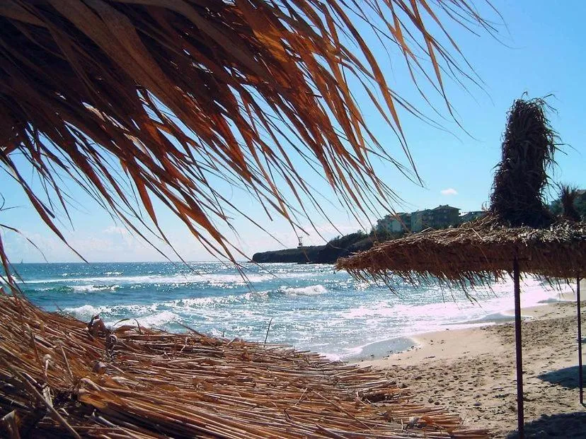 Natural landscape in SUNARITA