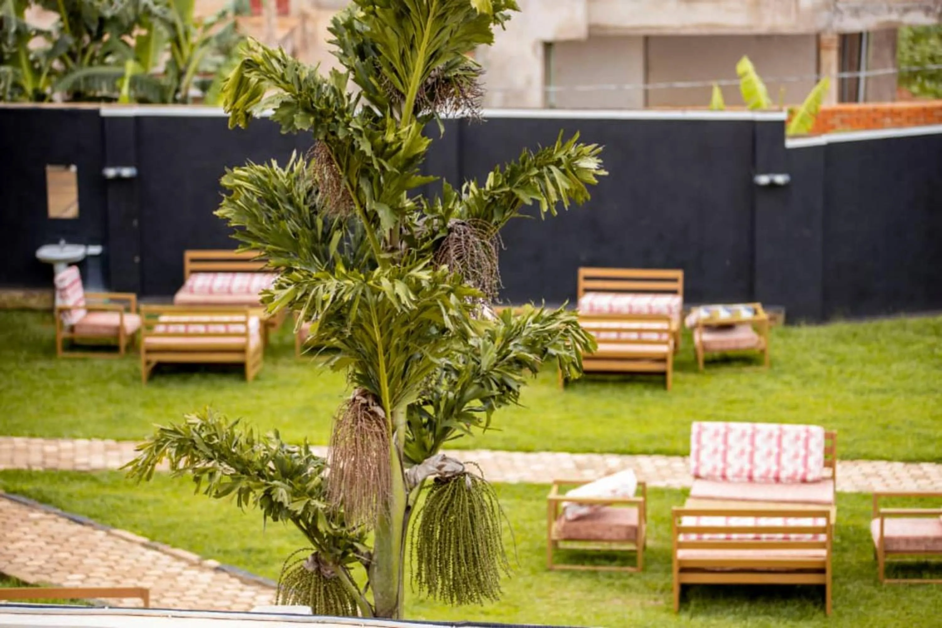 Spring in Amariah Villa