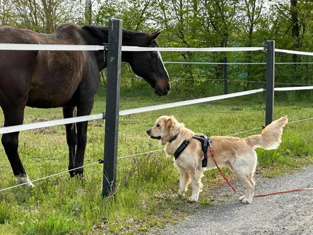 Landhotel Vessens Hoff