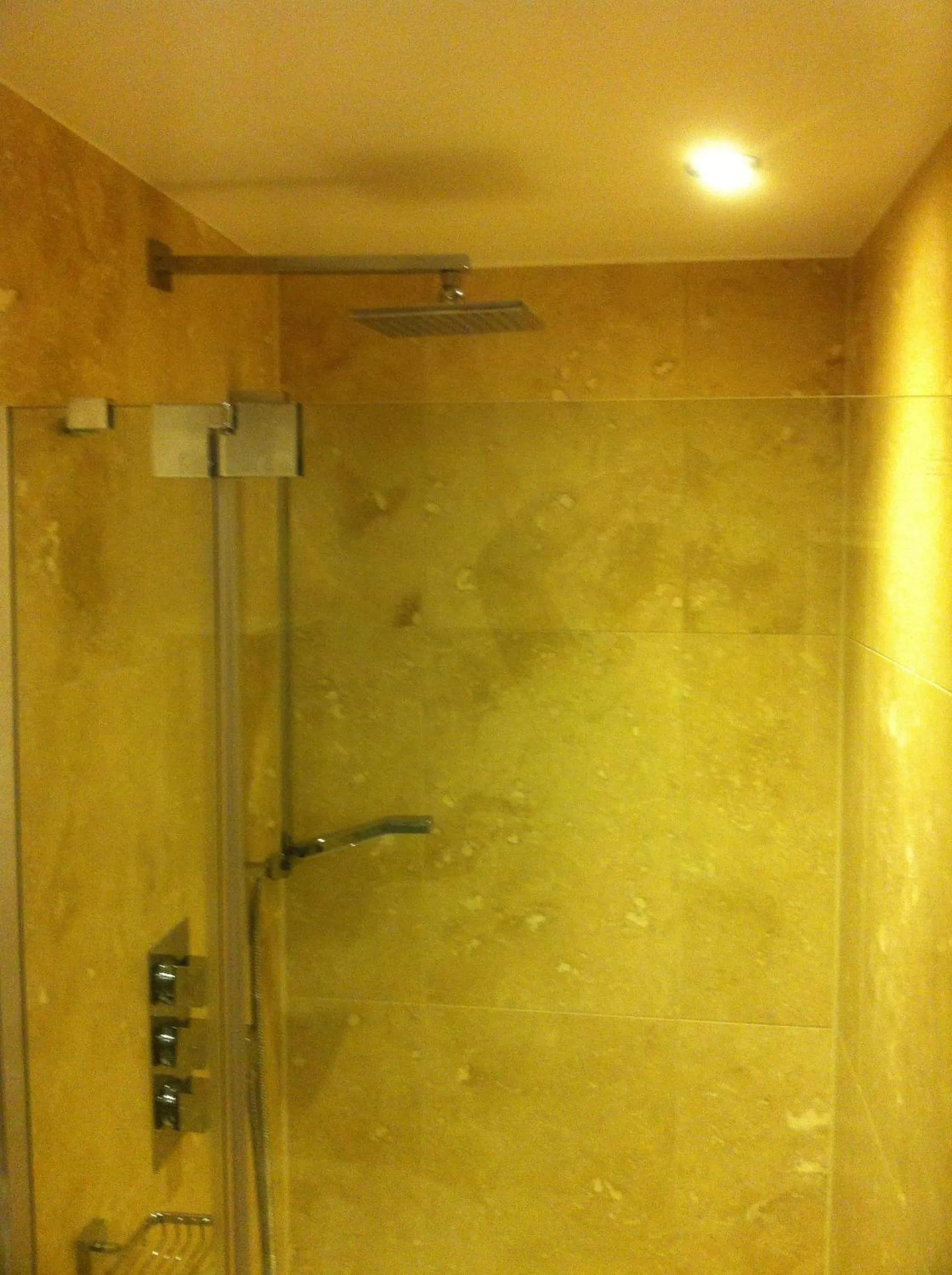 Shower in Bridge Hotel Brandon