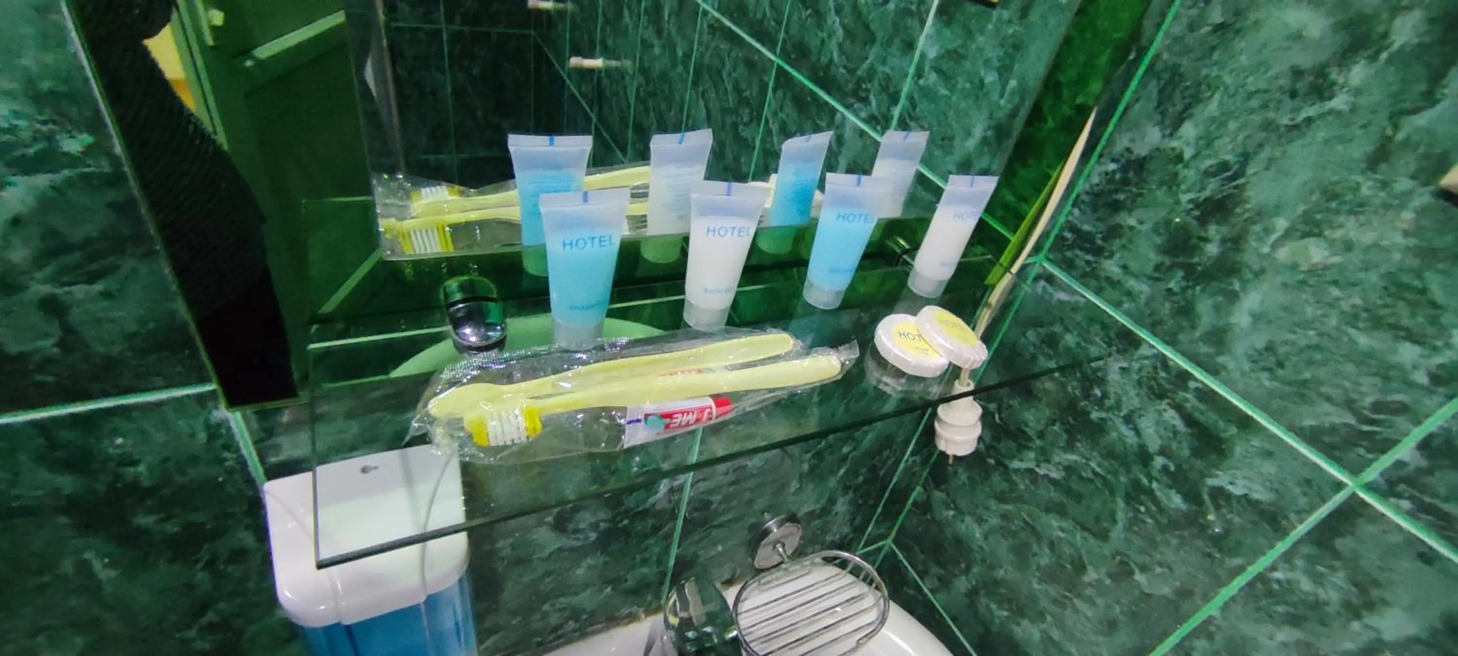 Shower in Hotel Max Comfort