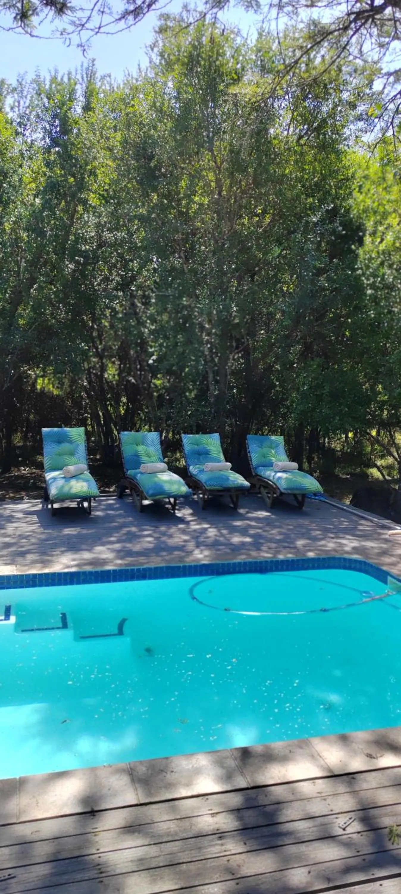 Pool view in Thornwood