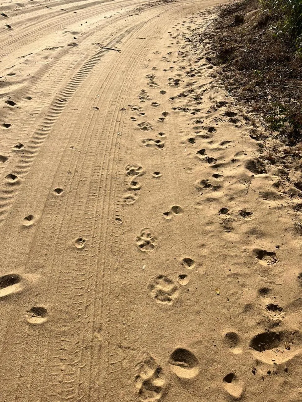 Natural landscape in Thornwood