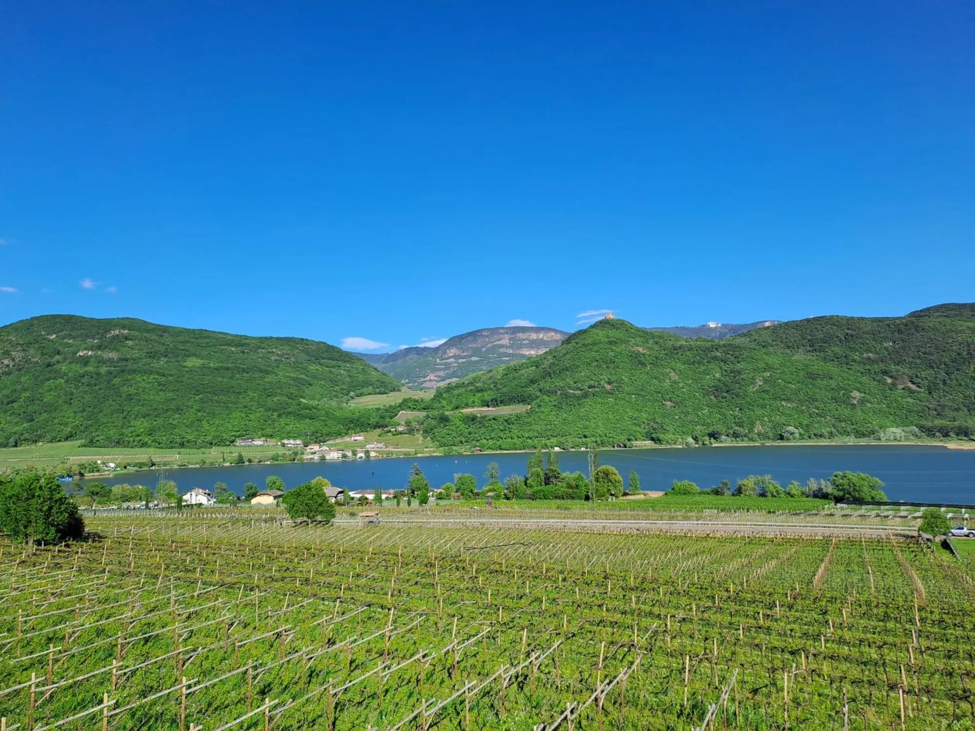 View (from property/room) in Pension Hasslhof