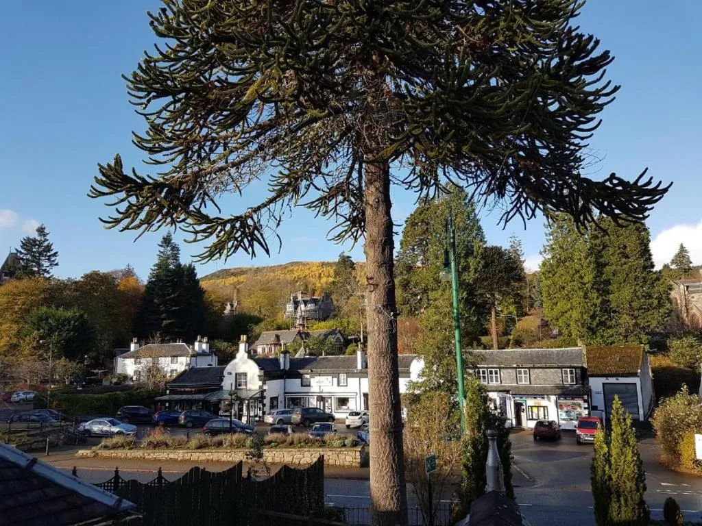 Facade/entrance in OYO Mackay's Travel Lodge Hotel