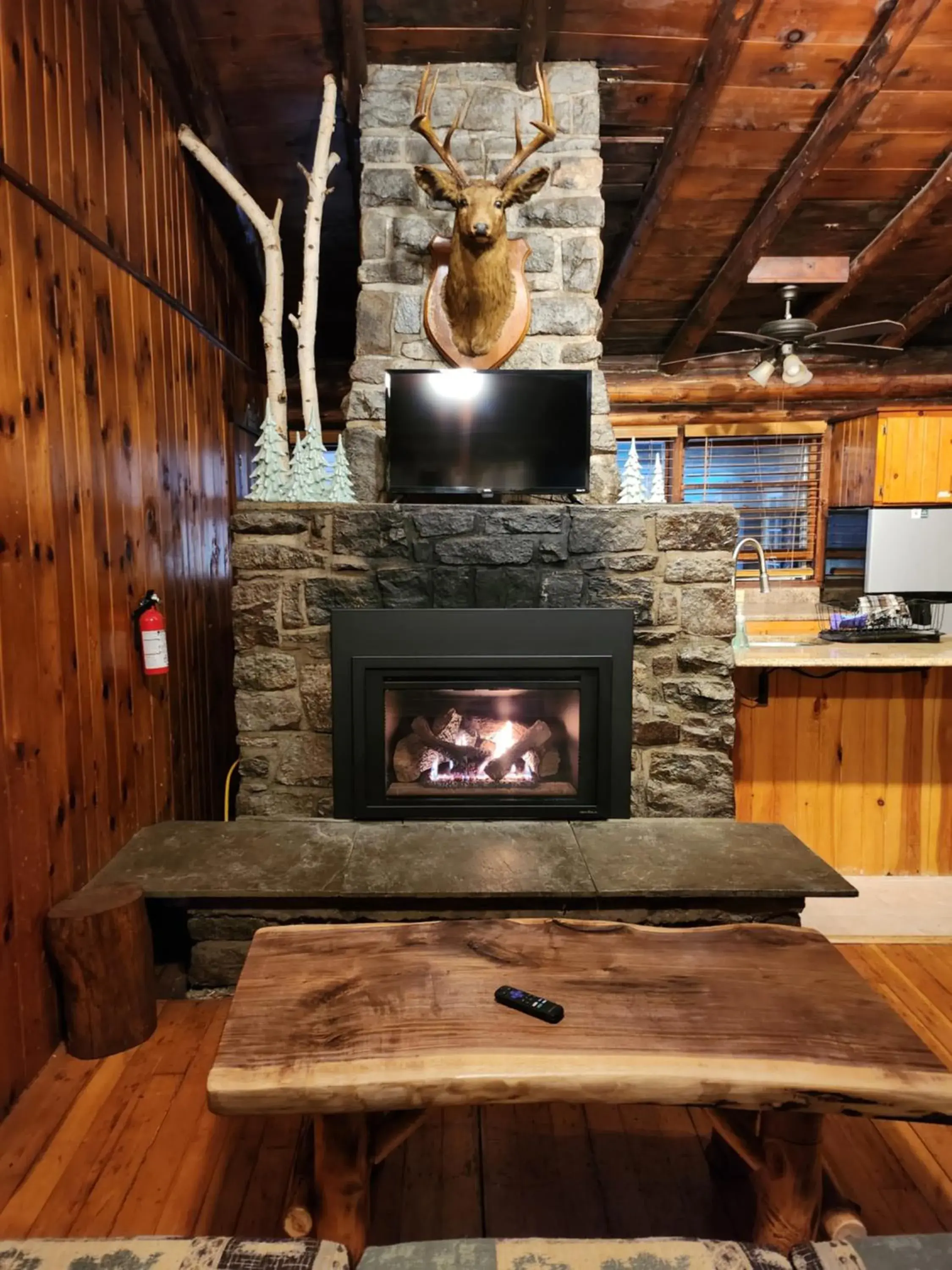BBQ Facilities in Adirondack Diamond Point Lodge