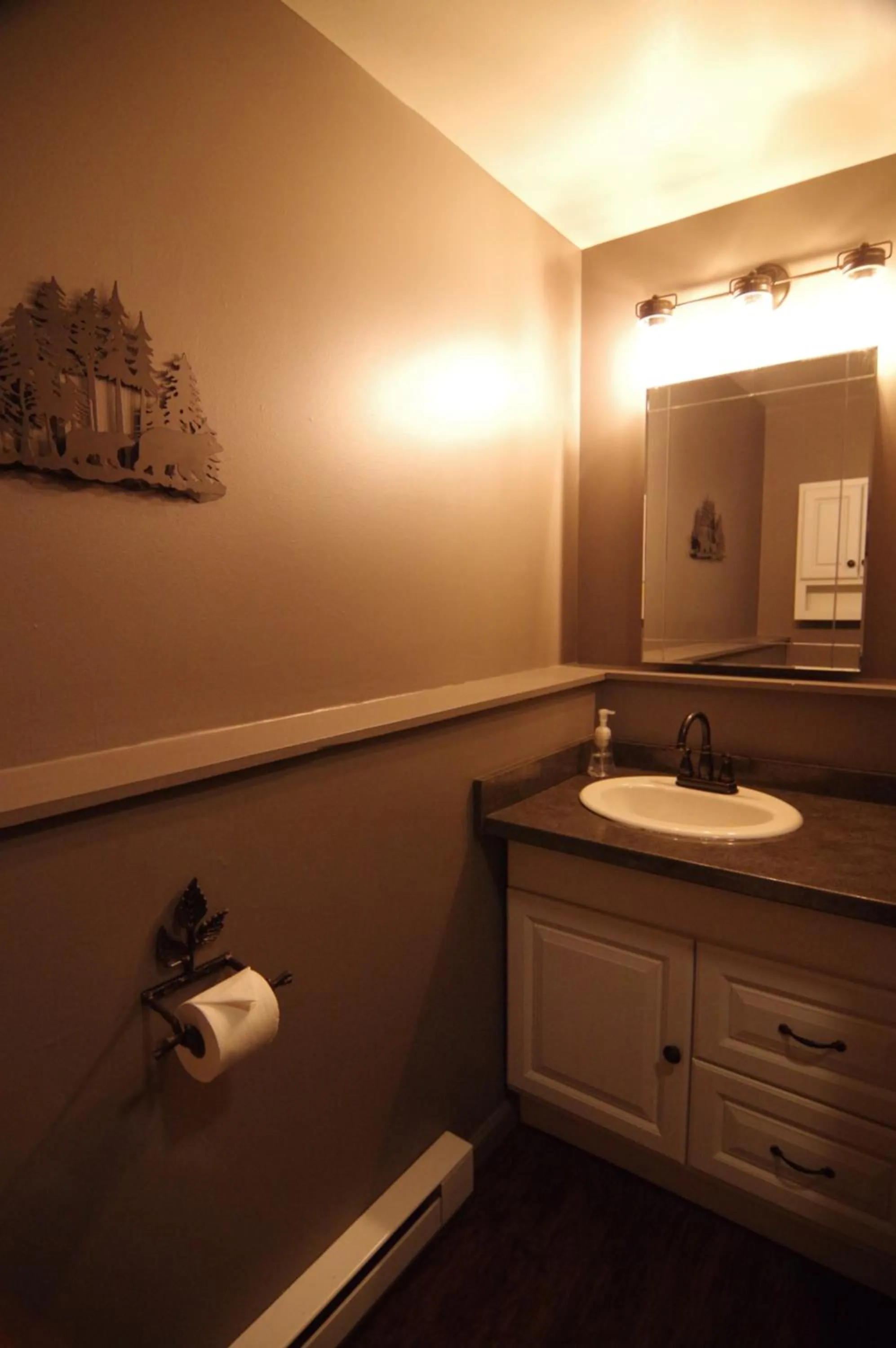 Adirondack Diamond Point Lodge