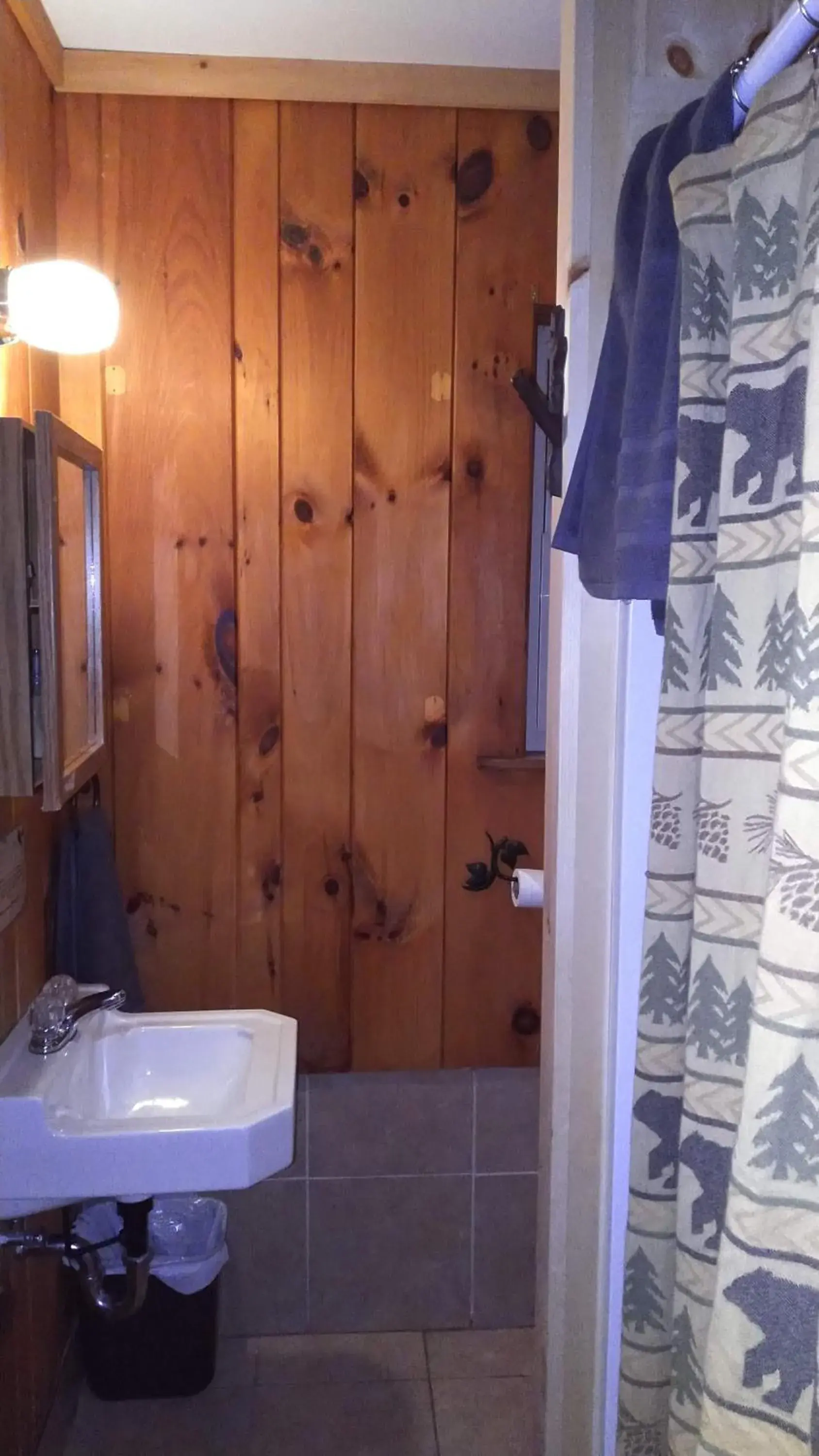 Bathroom in Adirondack Diamond Point Lodge