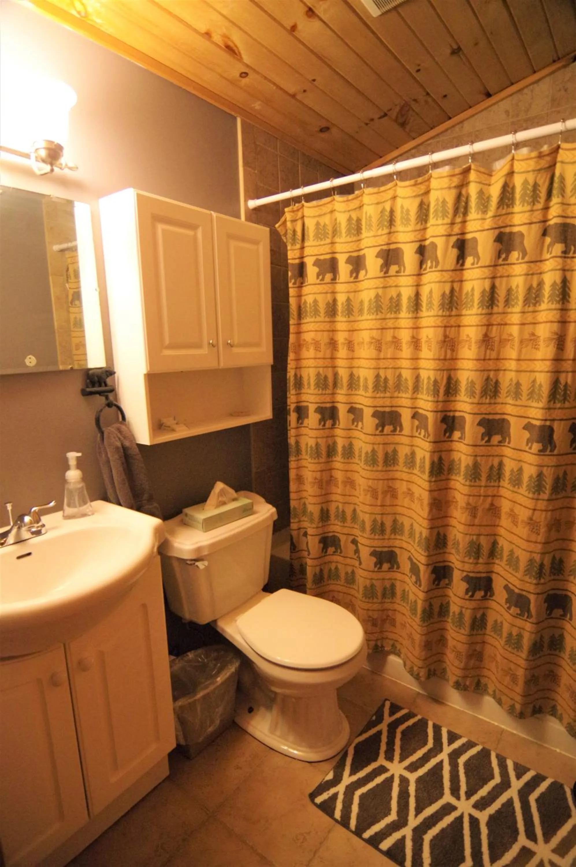 Adirondack Diamond Point Lodge