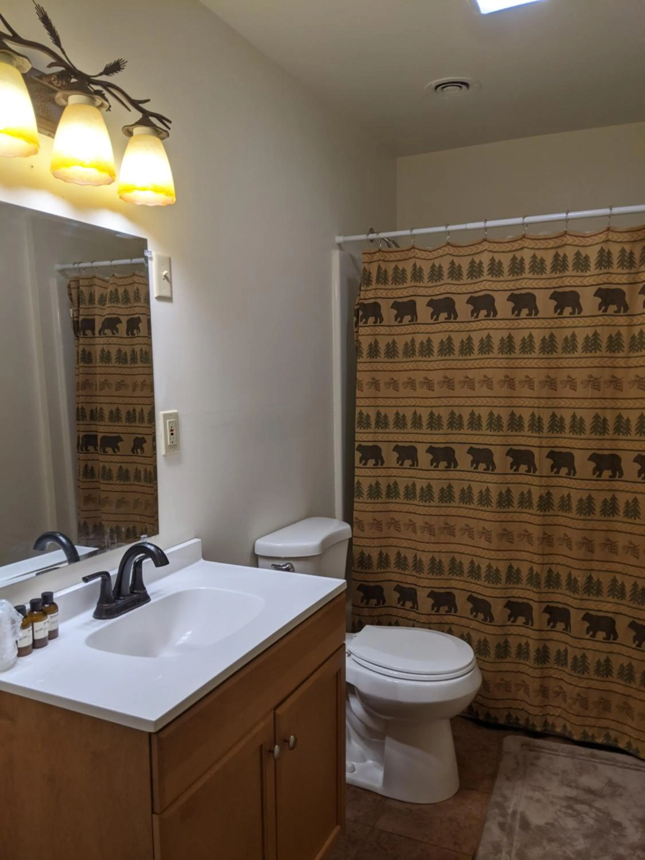 Bathroom in Adirondack Diamond Point Lodge