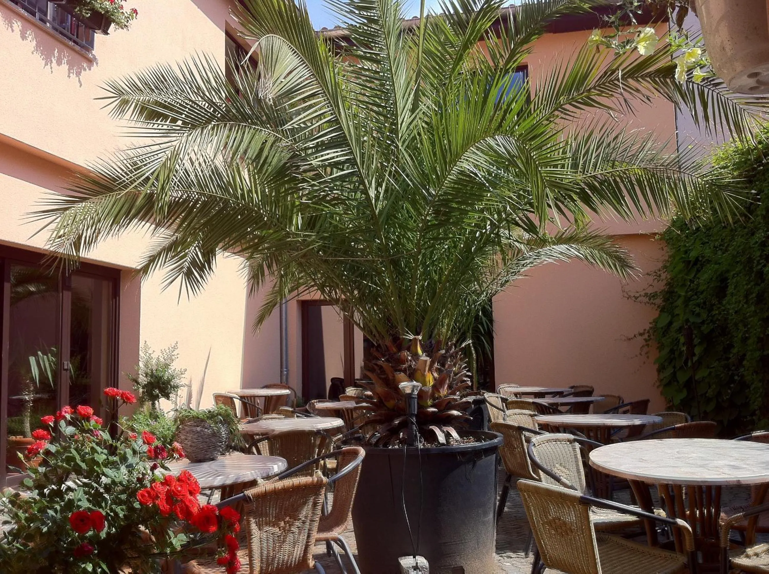 Patio in Hotel Arte Vida OHG