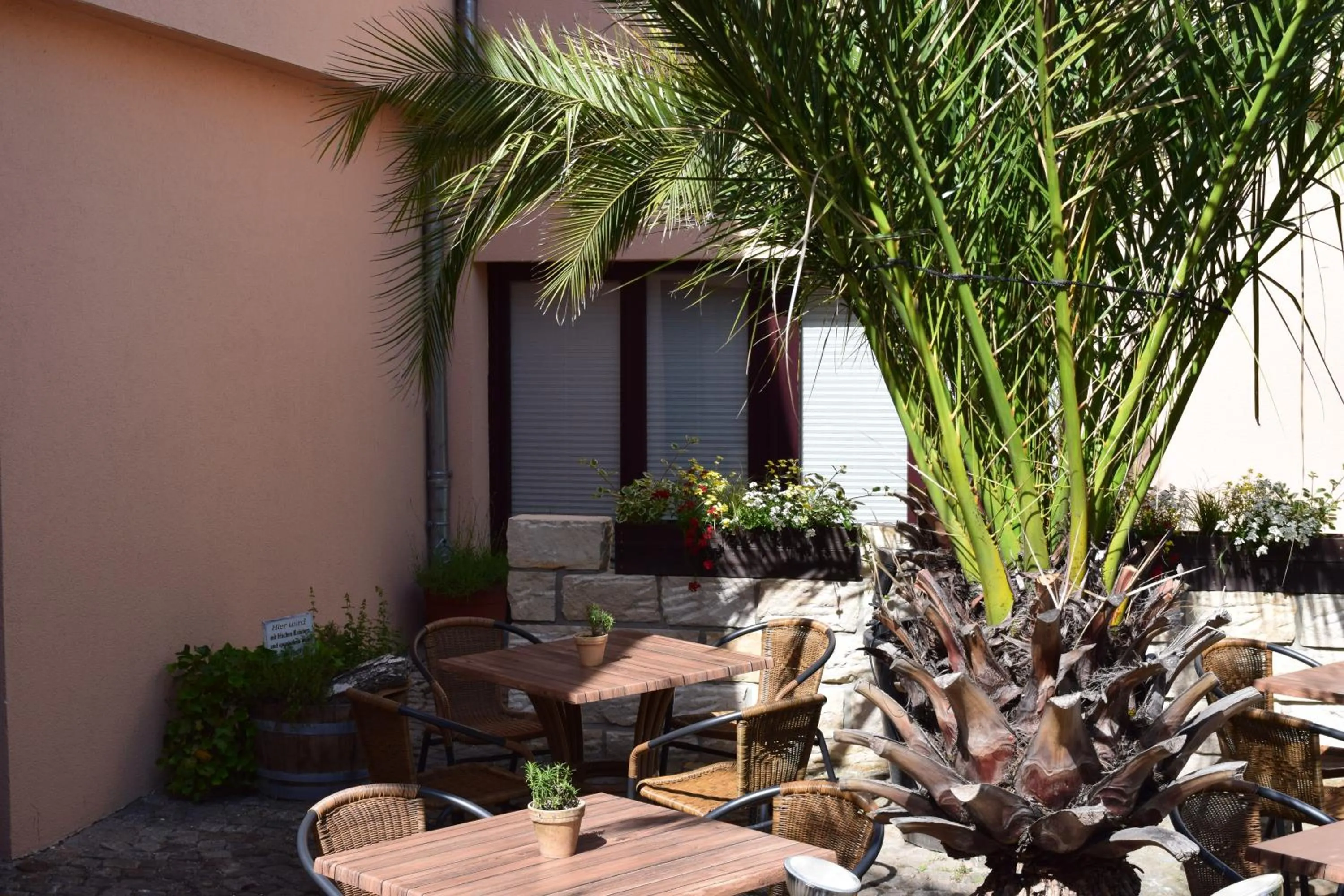 Patio in Hotel Arte Vida OHG