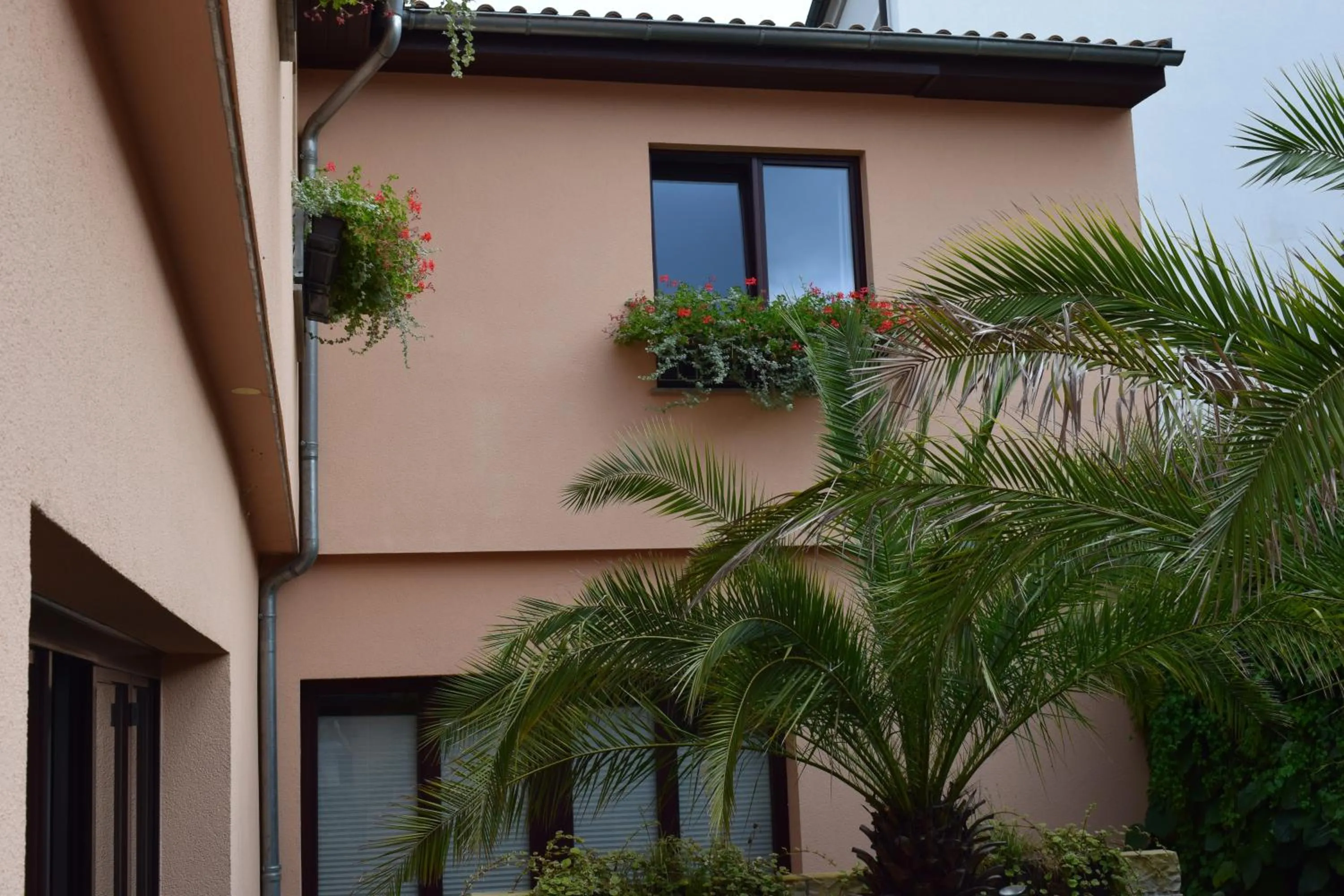 Patio in Hotel Arte Vida OHG