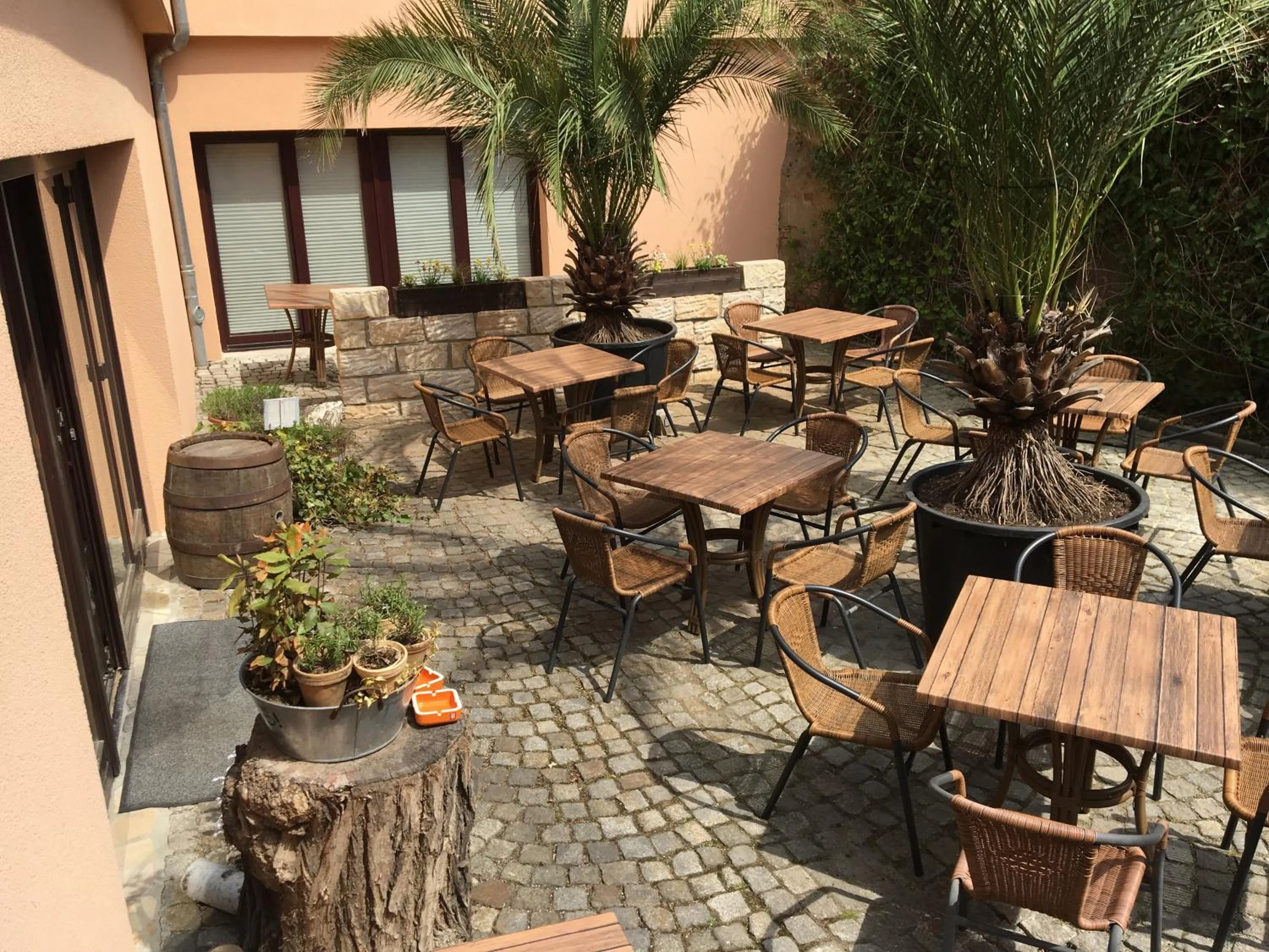 Patio in Hotel Arte Vida OHG