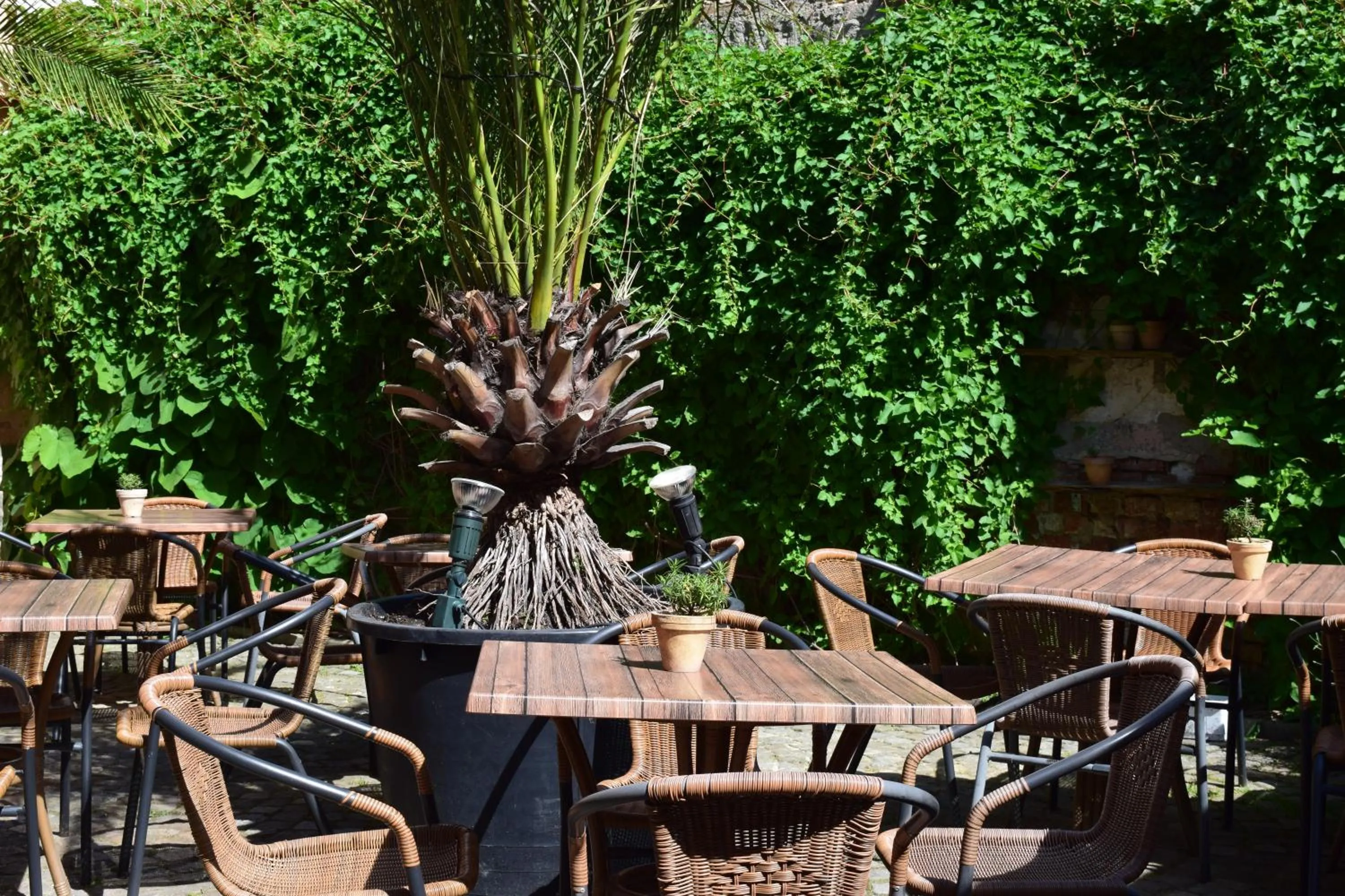 Patio in Hotel Arte Vida OHG