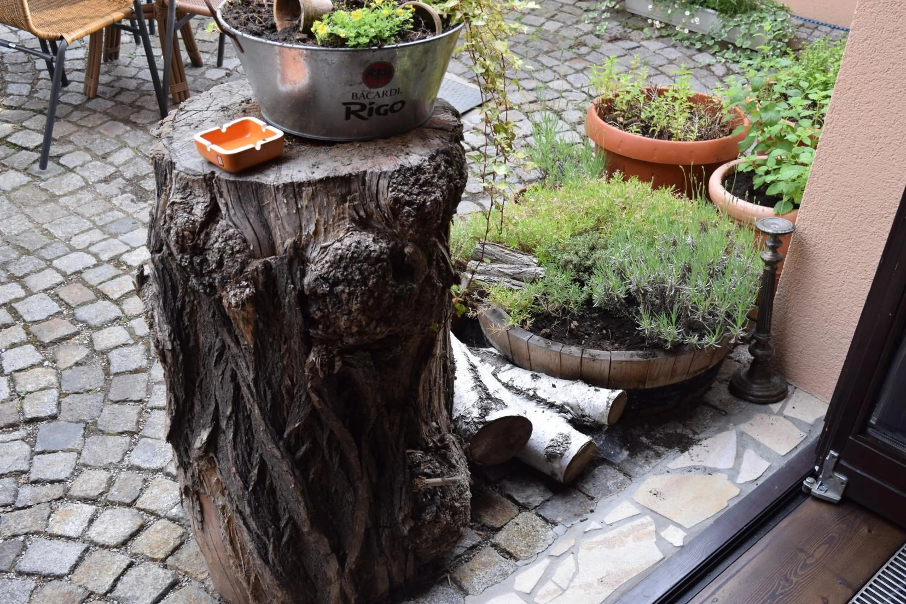 Patio in Hotel Arte Vida OHG