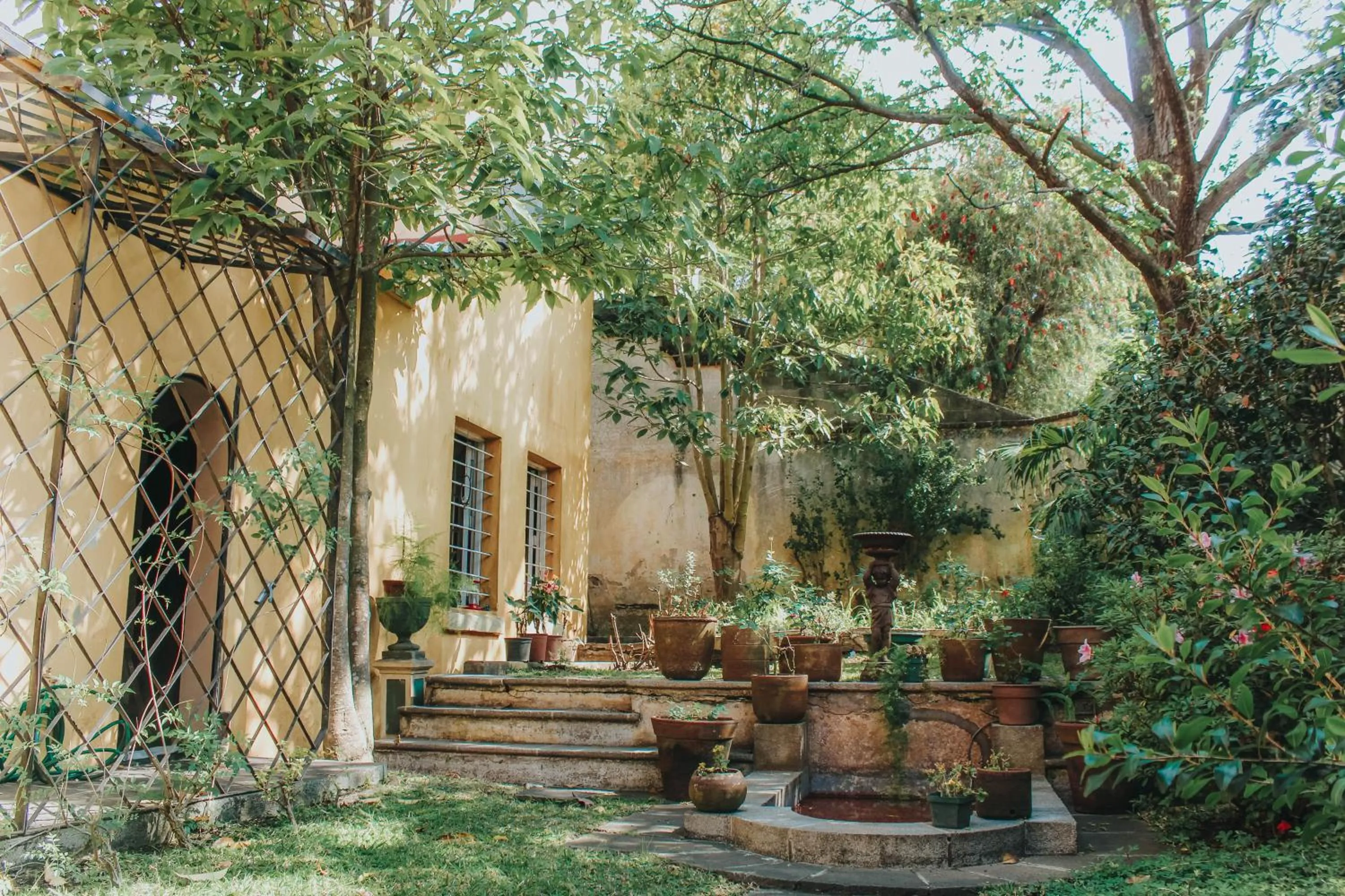 Garden in Casa Carmel Bed & Breakfast