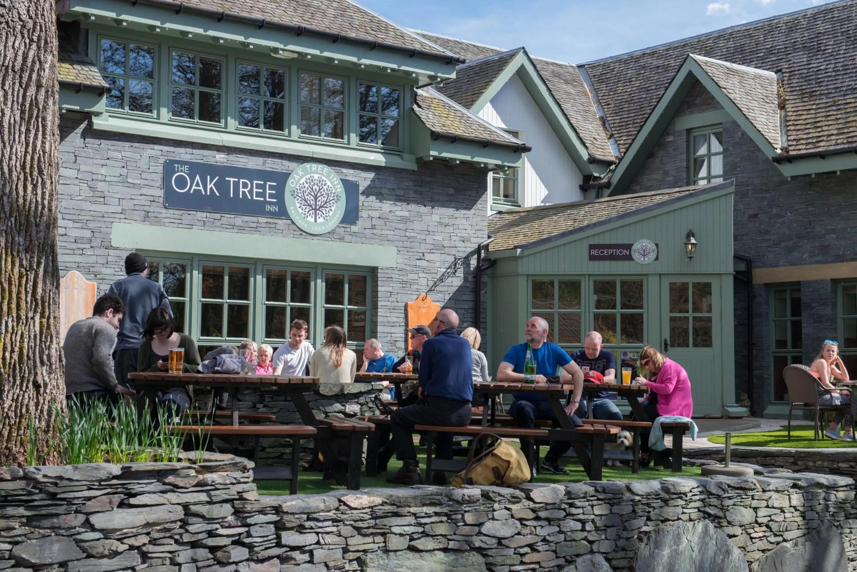 Property building in Oak Tree Inn