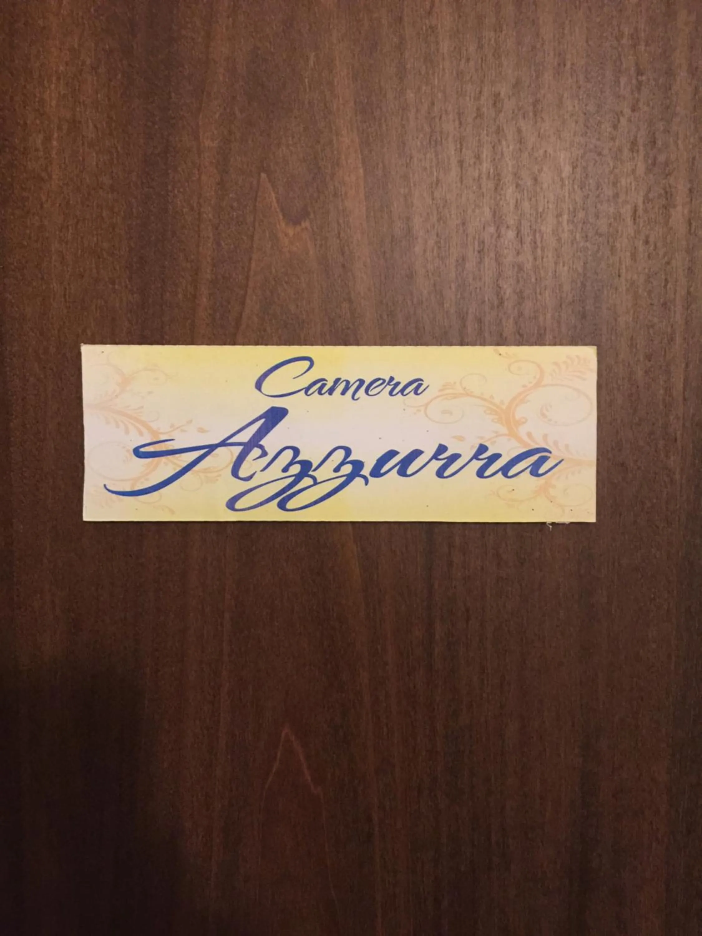 Text overlay in Case Saniela