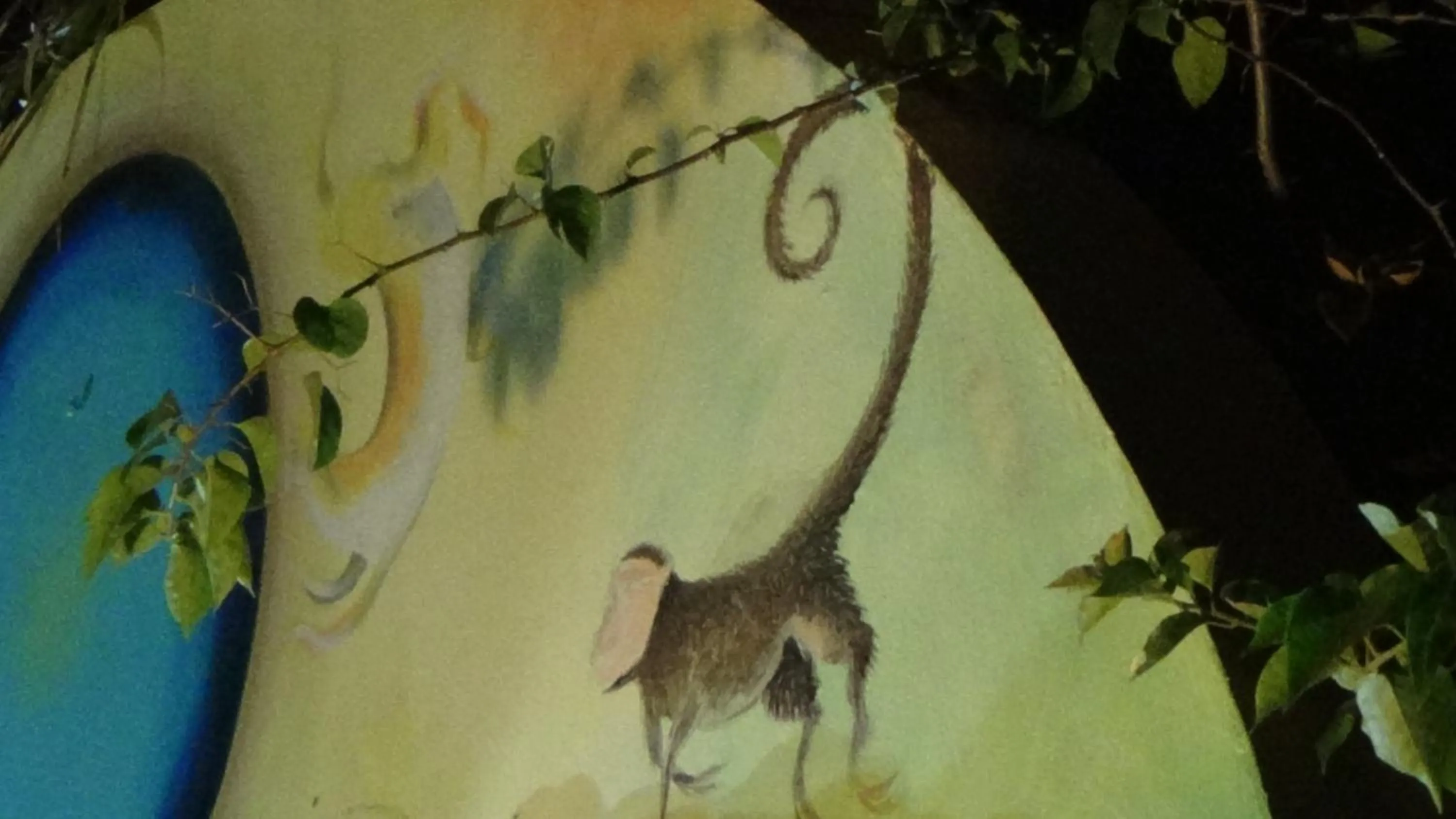 Night in Hacienda Tropical Guest House