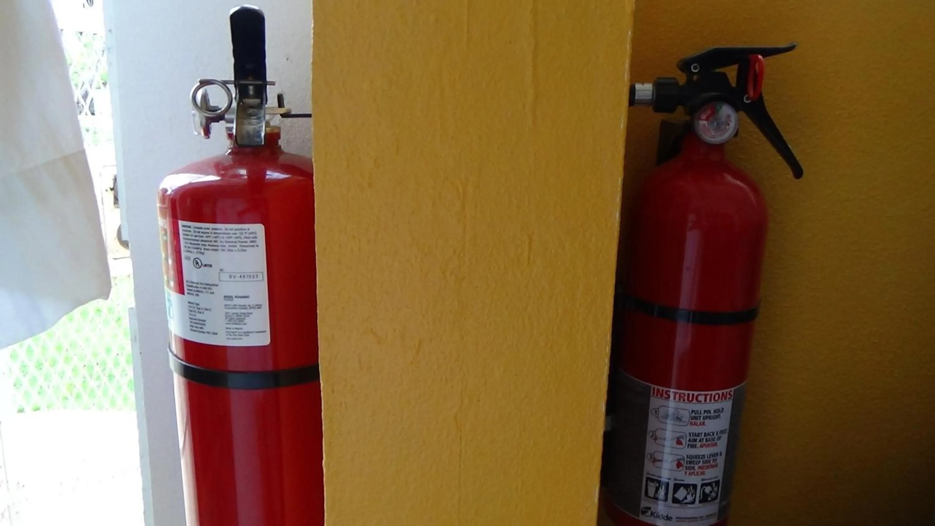 Kitchen or kitchenette in Hacienda Tropical Guest House