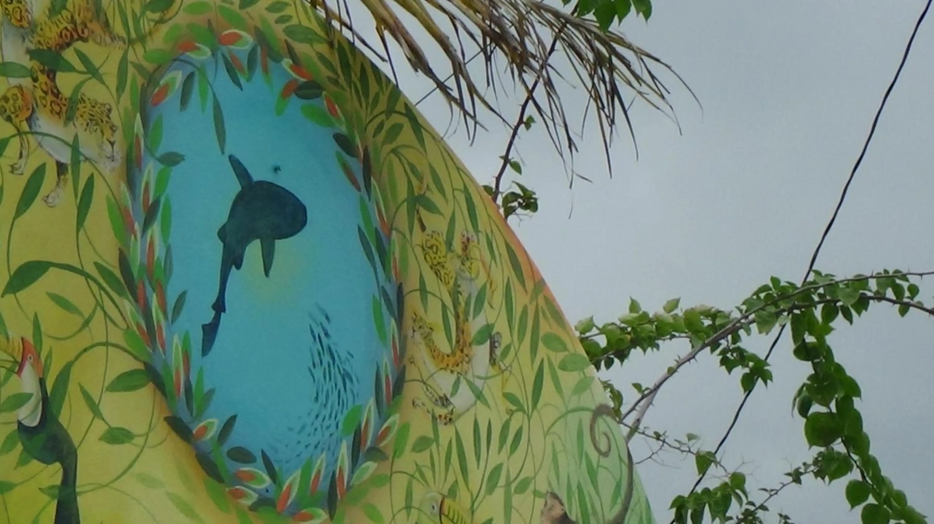 Day in Hacienda Tropical Guest House