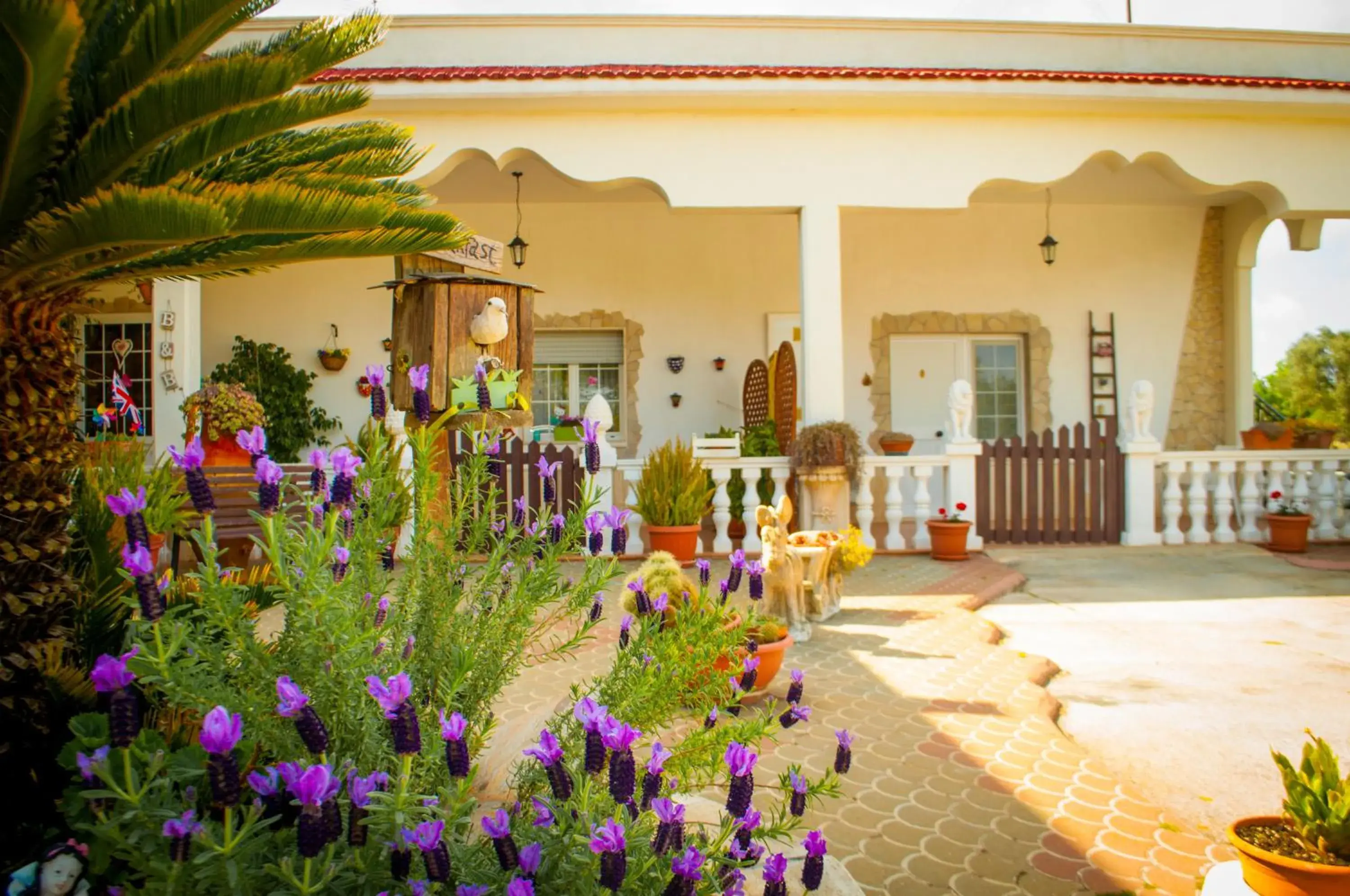 B&B Pietrafitta B&B Pietrafitta