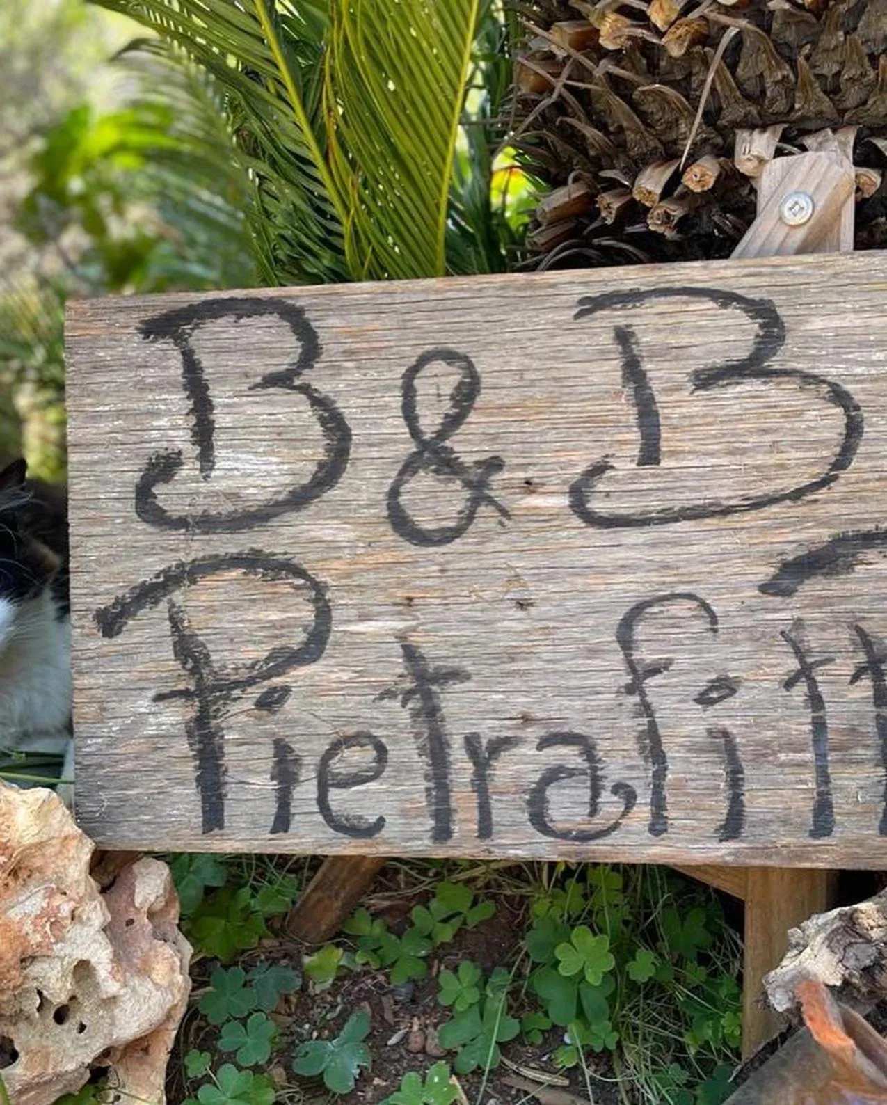 Day in B&B Pietrafitta